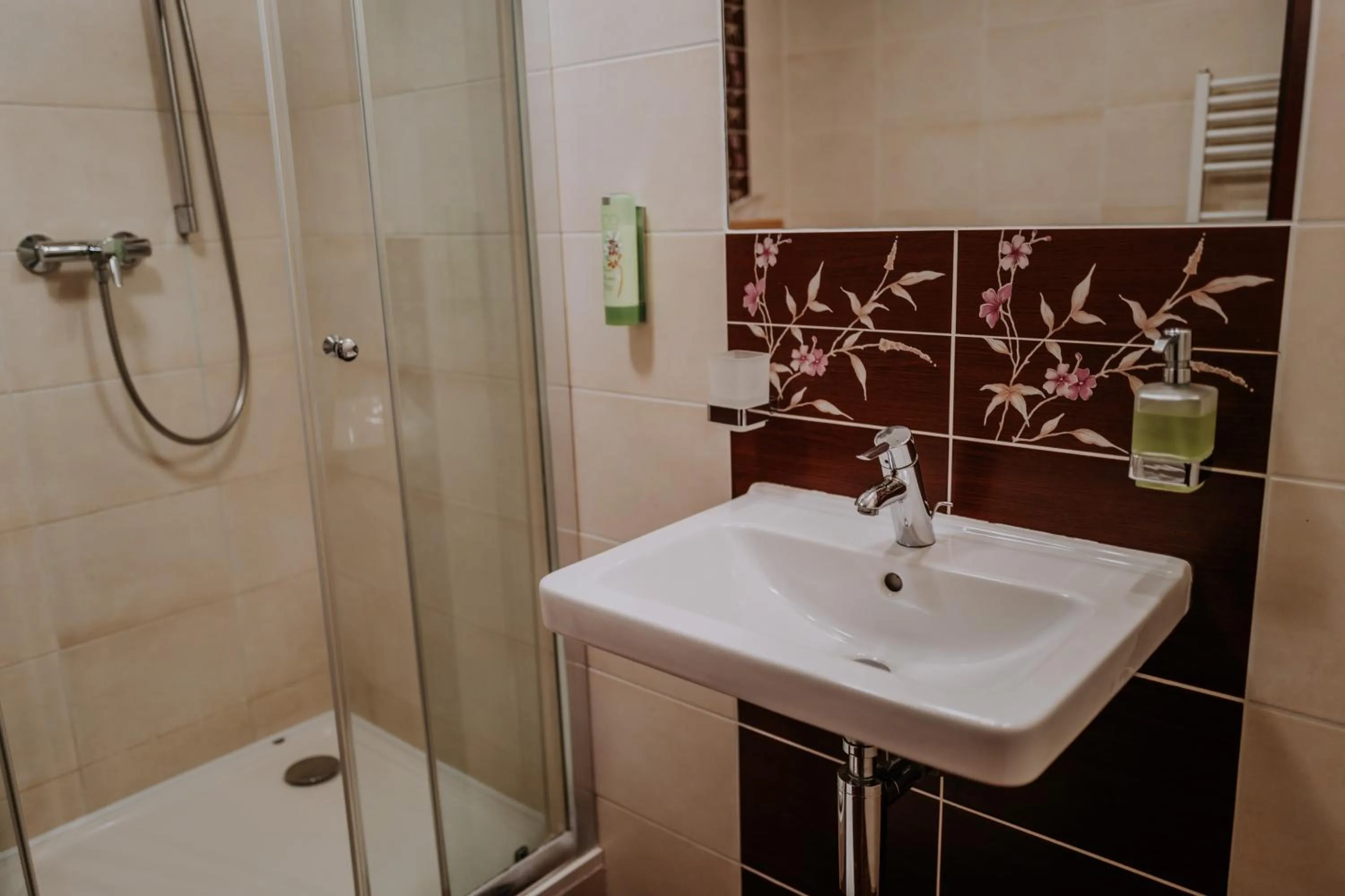 Shower in Eco Friendly Hotel Dália