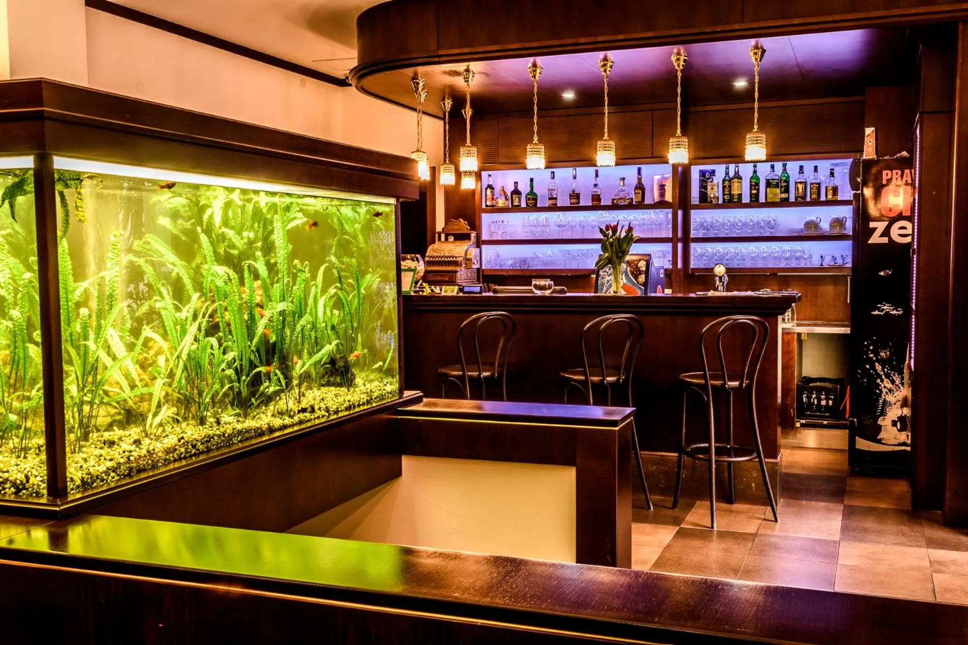 Lobby or reception in Eco Friendly Hotel Dália