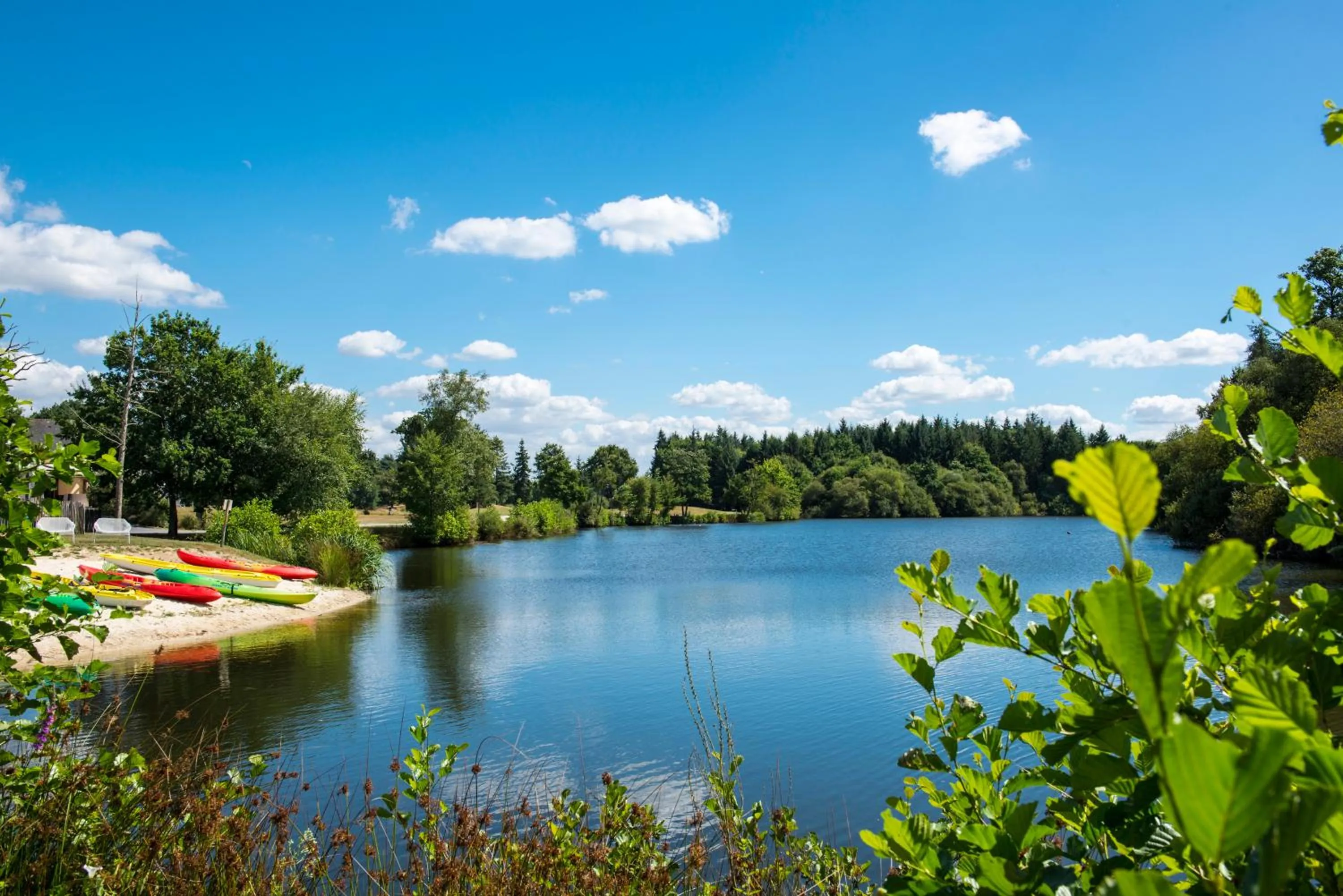 Natural landscape in Domaine de Cicé-Blossac, Resort Spa & Golf