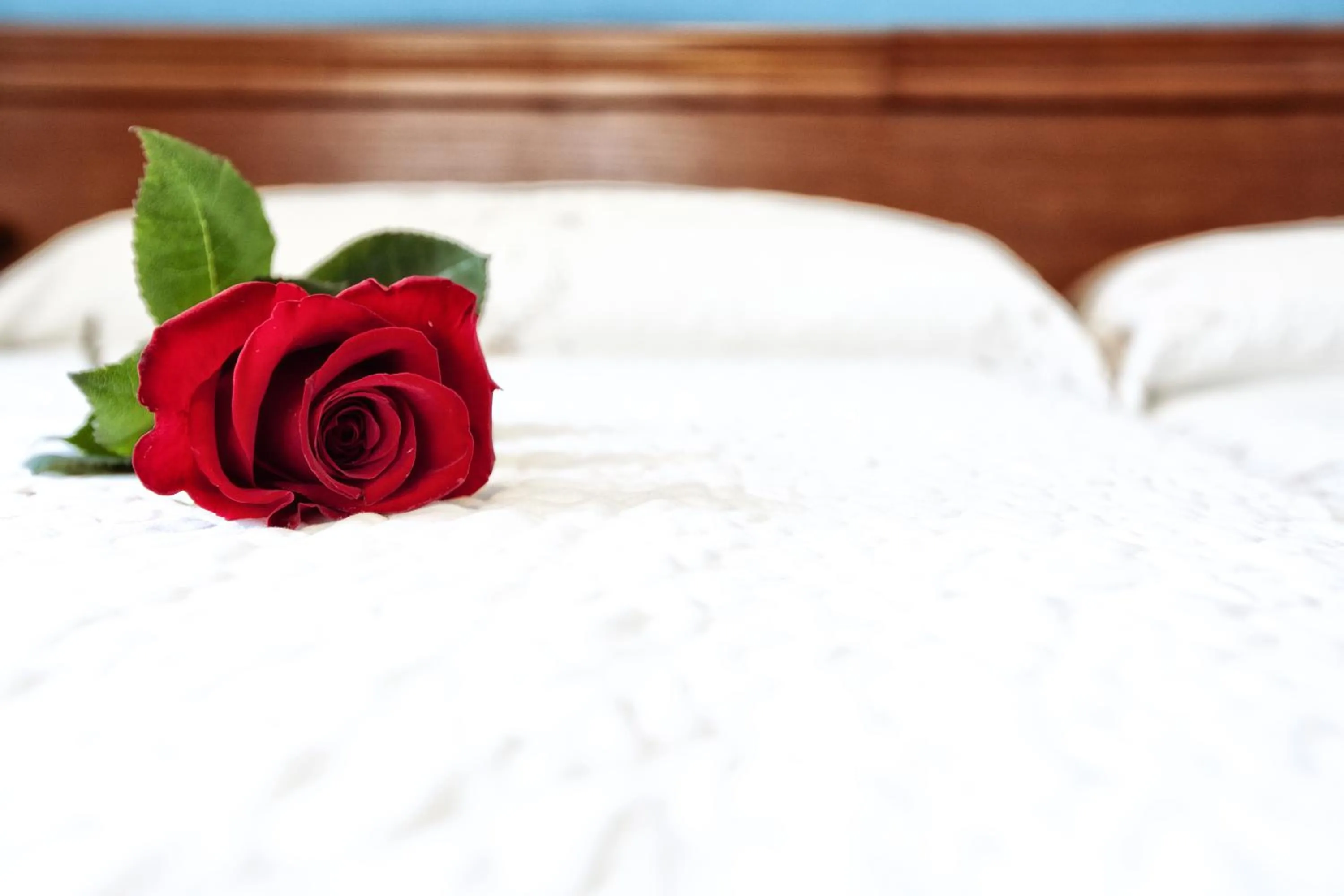 Decorative detail, Bed in Hotel Eladia