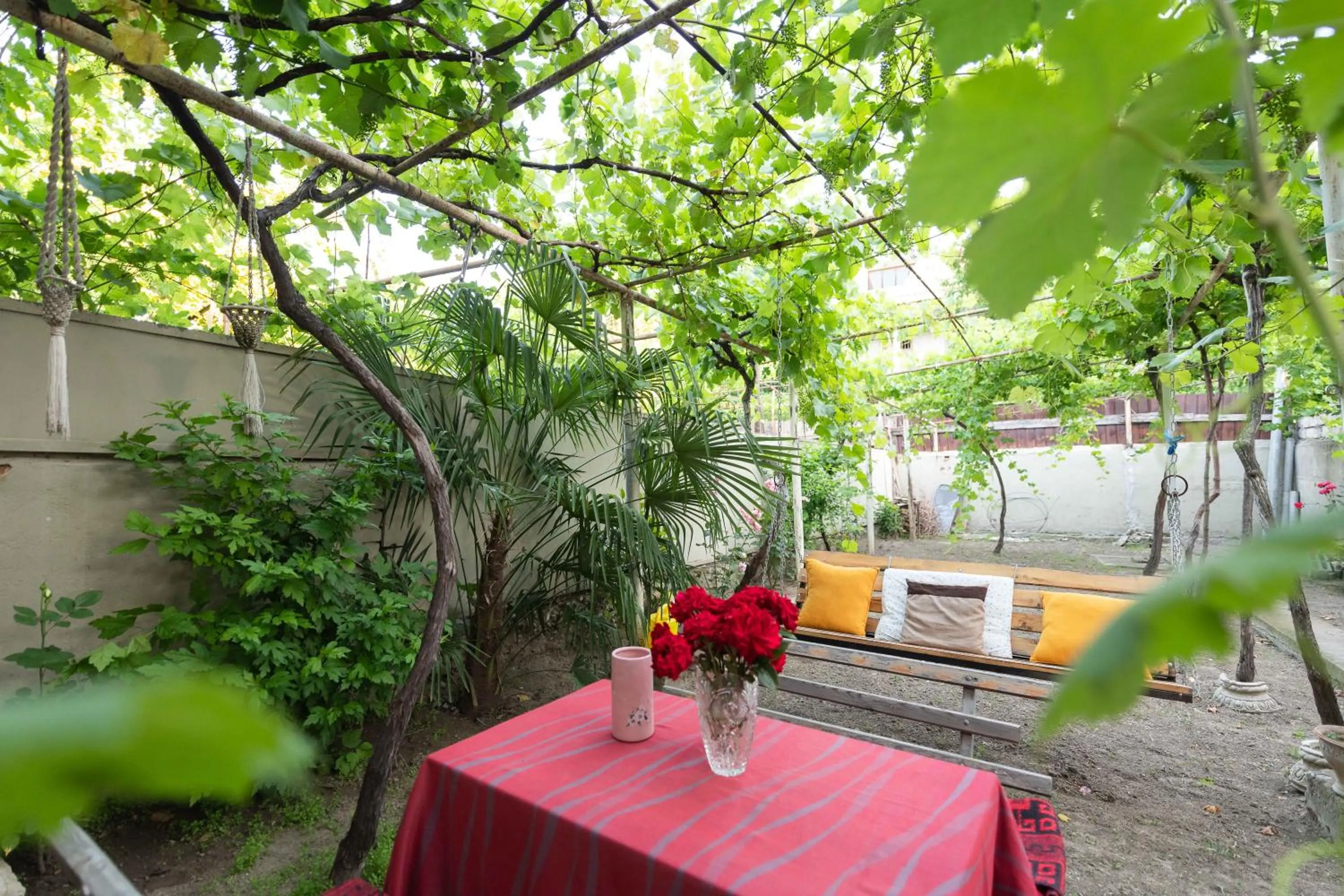 Garden in Anna's Guest House