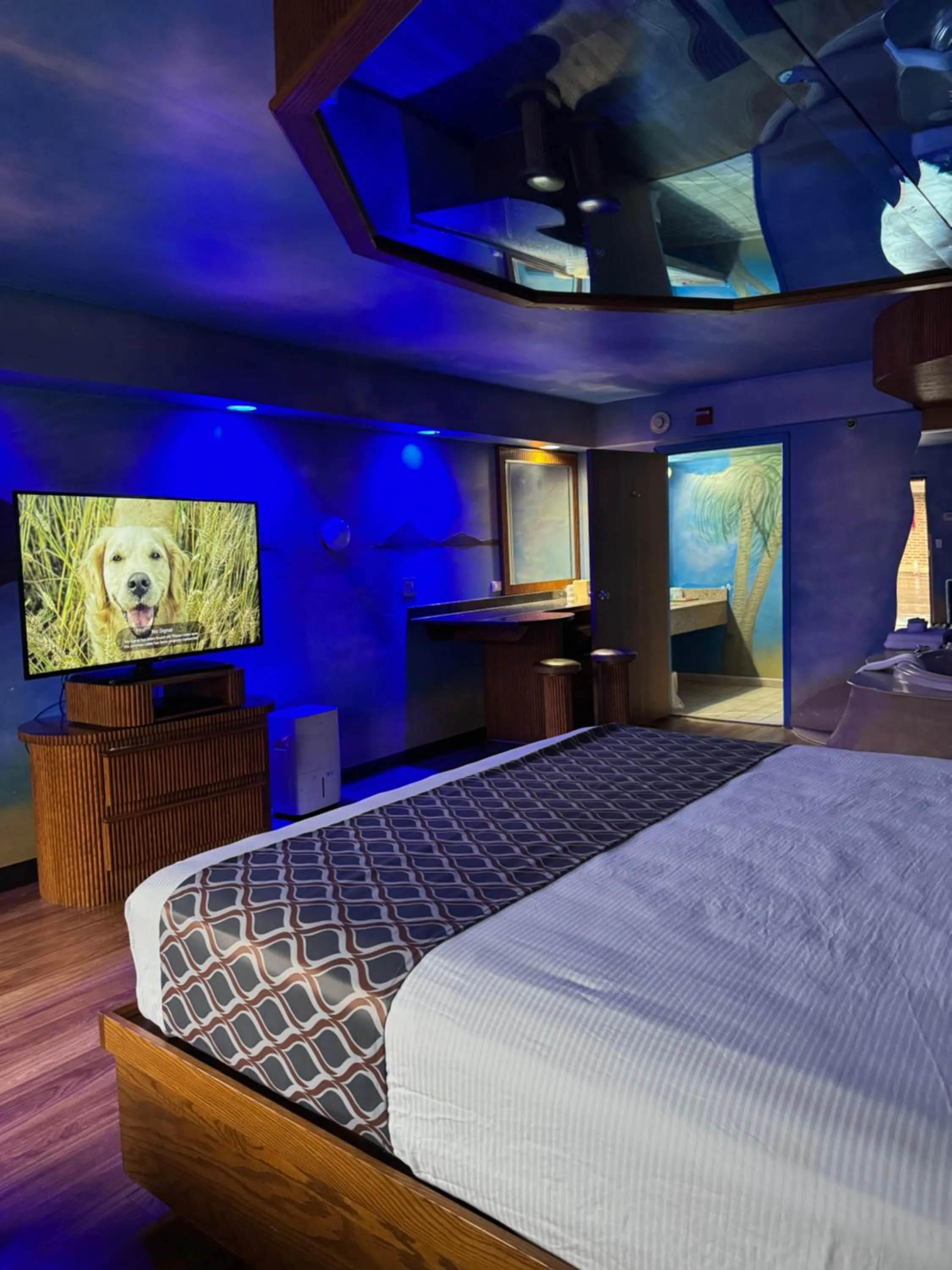 Bedroom, Bed in Blue Star Motel