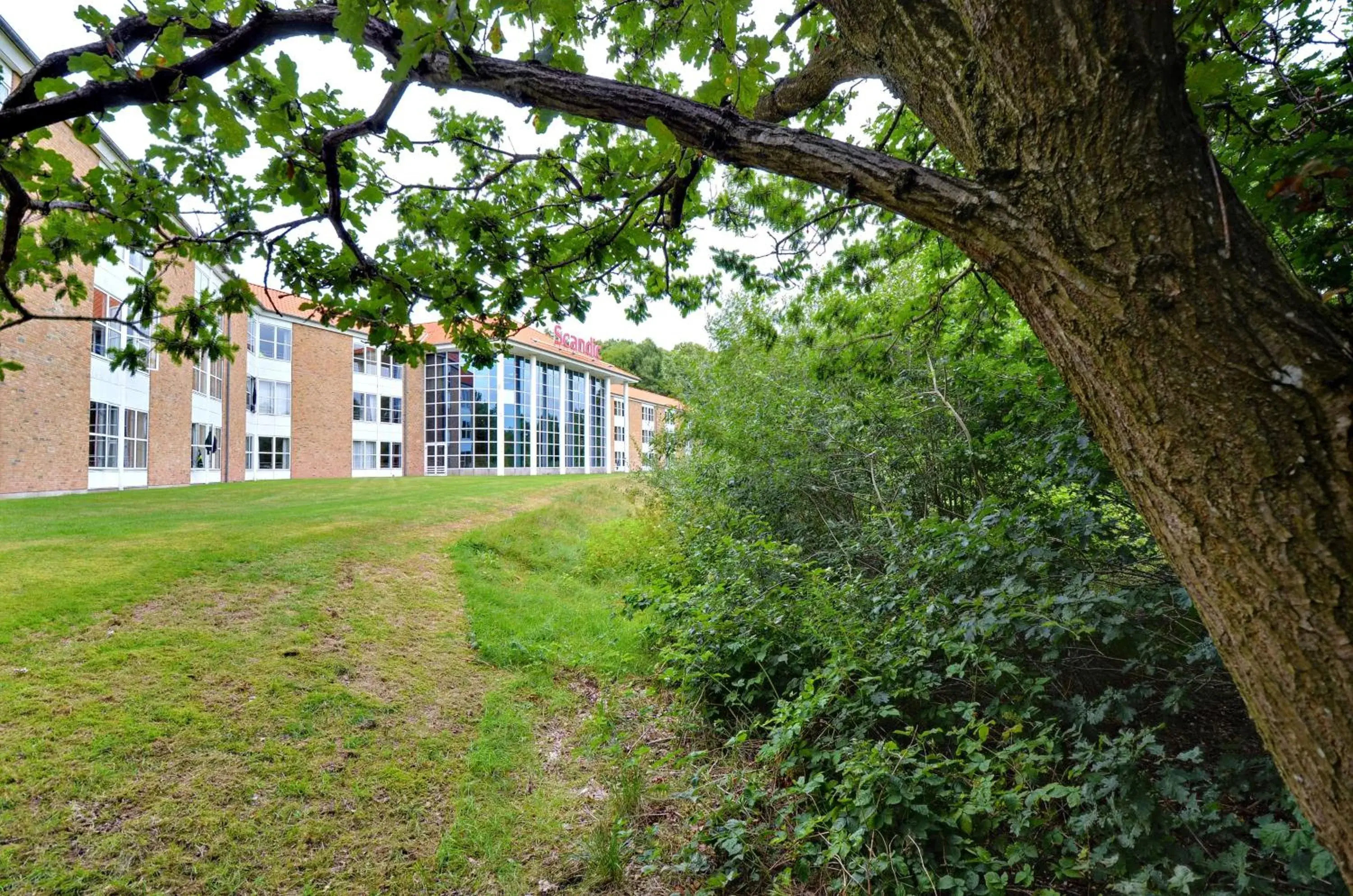 View (from property/room) in Scandic Silkeborg View (from property/room) in Scandic Silkeborg