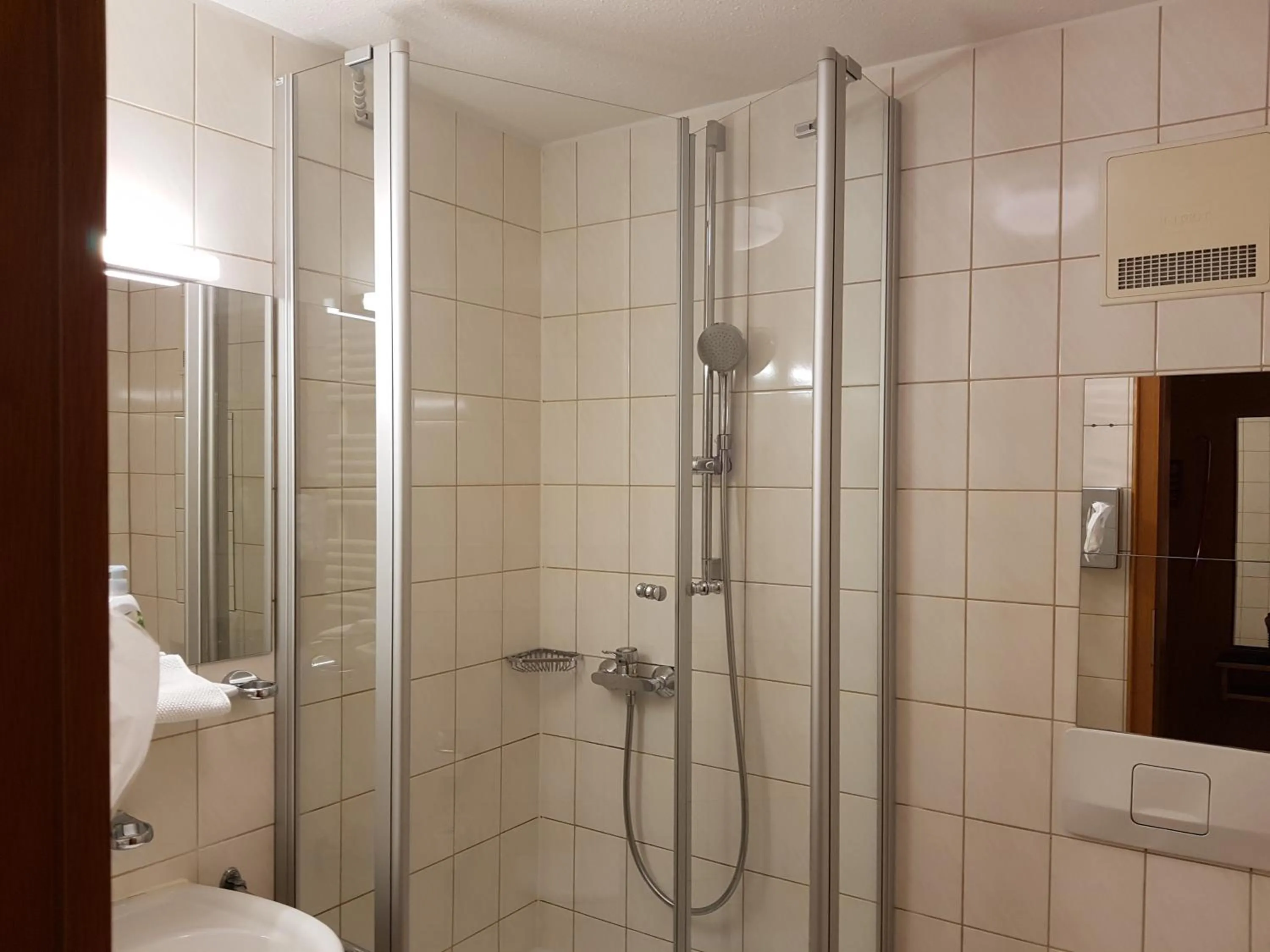Shower, Bathroom in Hotel Jägerhof garni