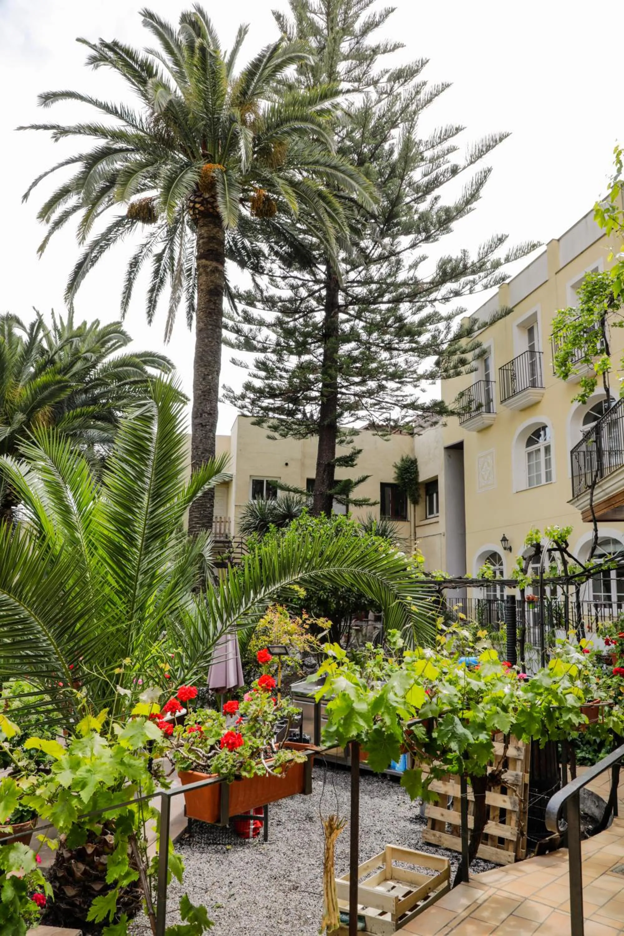Garden in Hotel Antiga