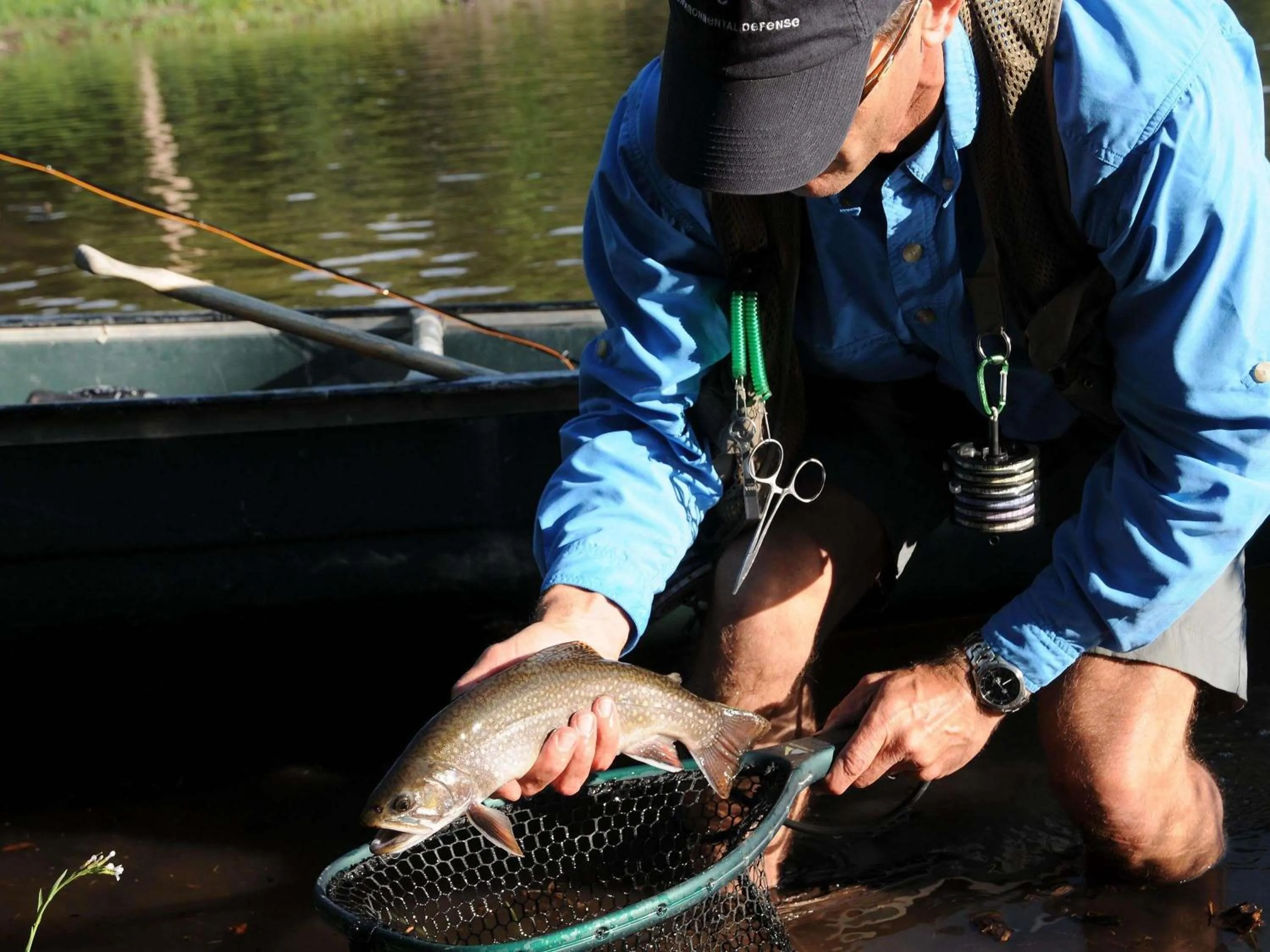 Other in Fairmont Heritage Place, Franz Klammer Lodge