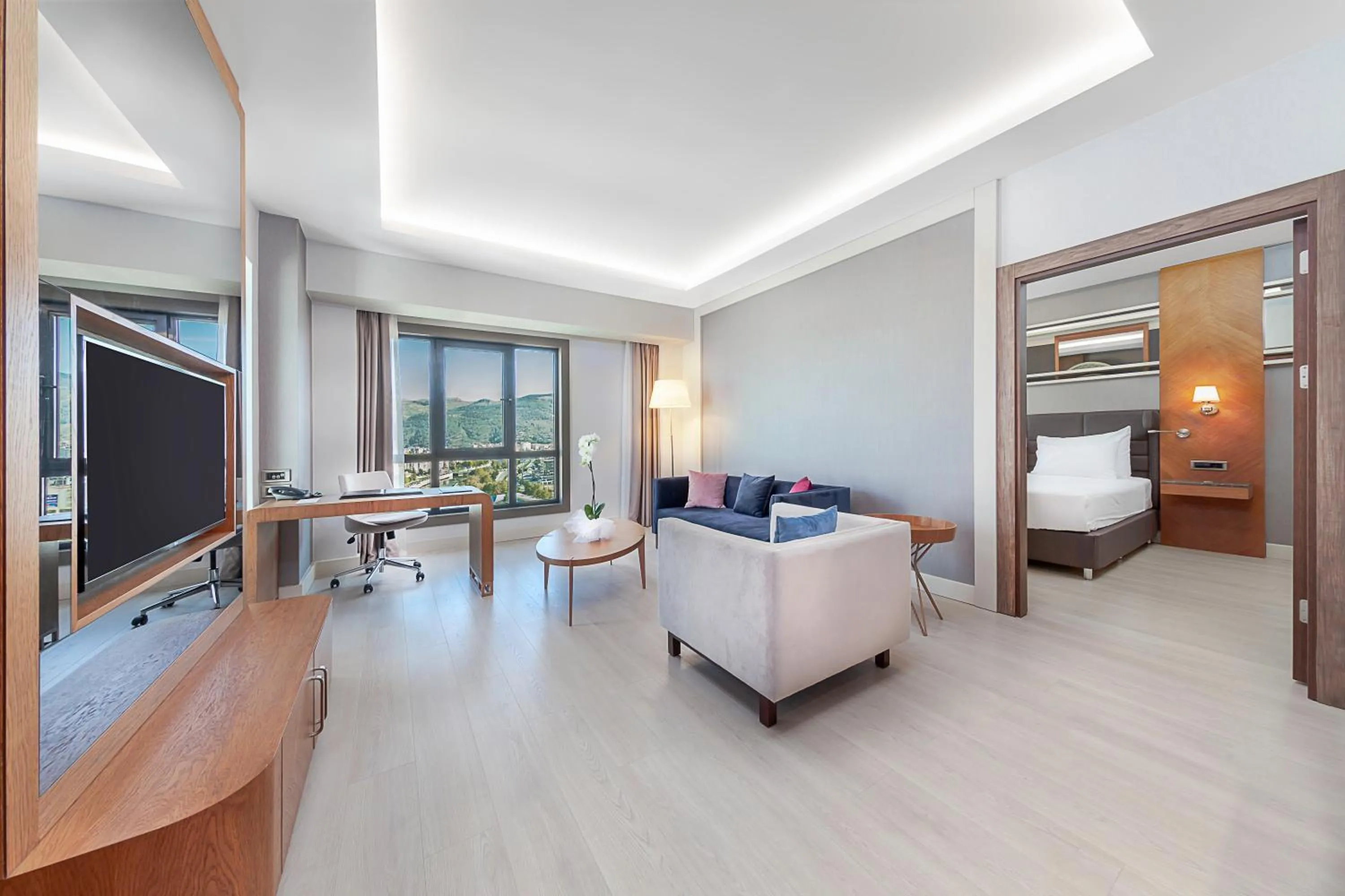 Living room, Bed in Dedeman Tokat