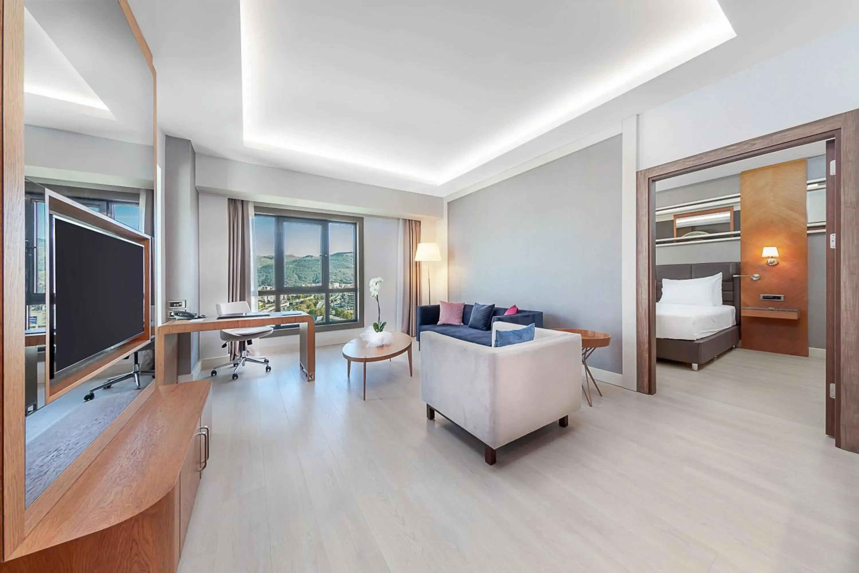 Living room, Bed in Dedeman Tokat Living room, Bed in Dedeman Tokat