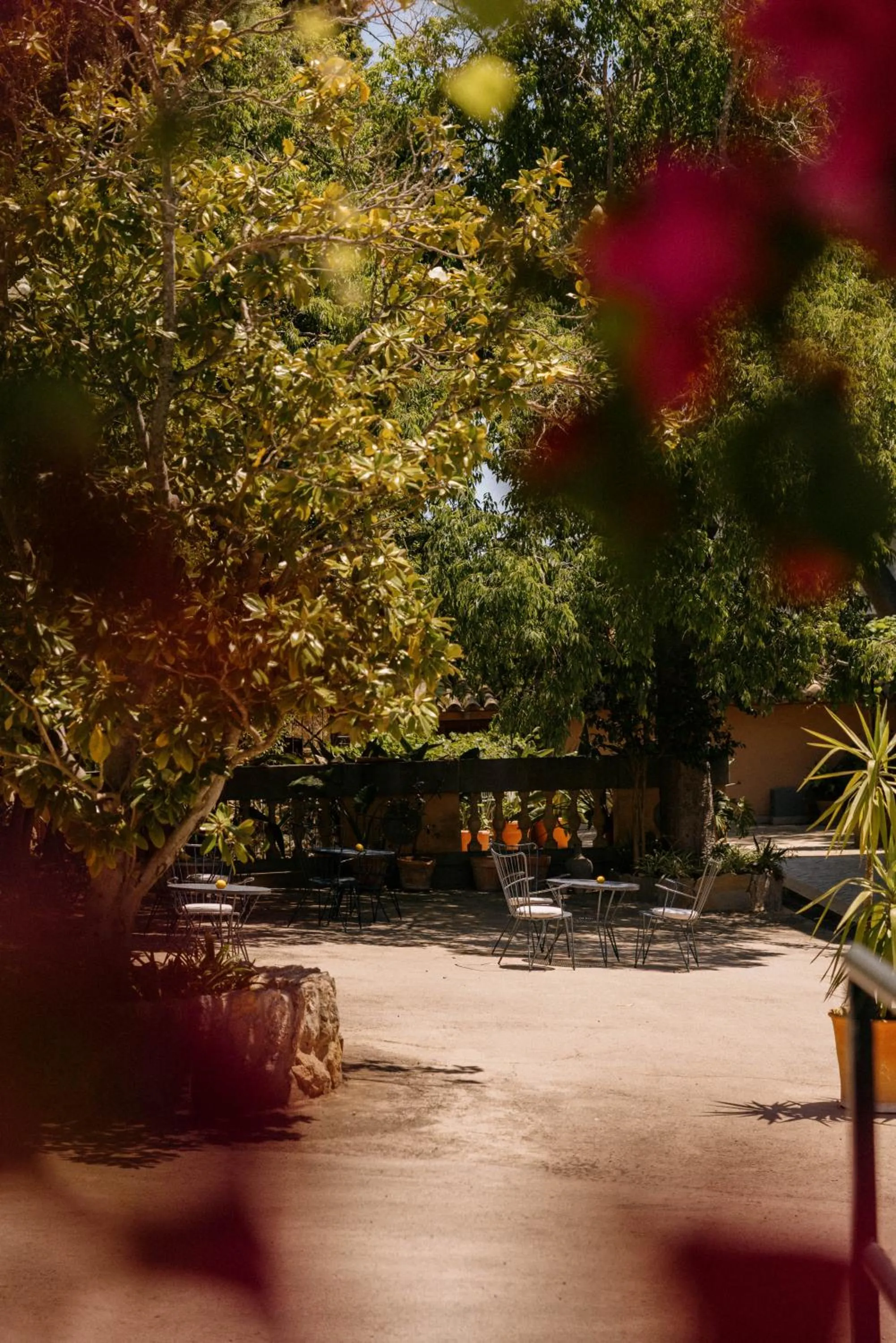 Day in Agroturismo Son Galceran