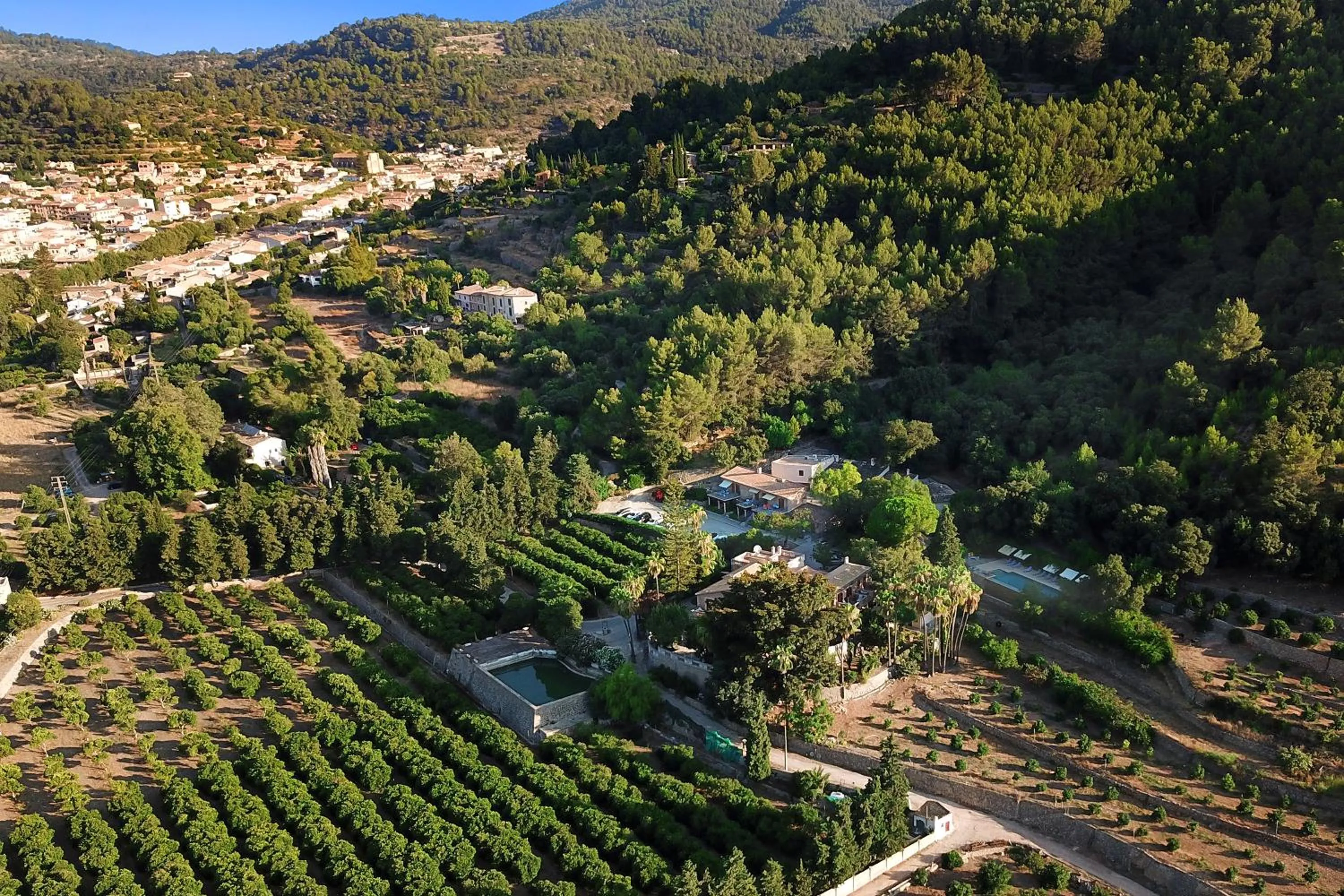 Natural landscape in Agroturismo Son Galceran