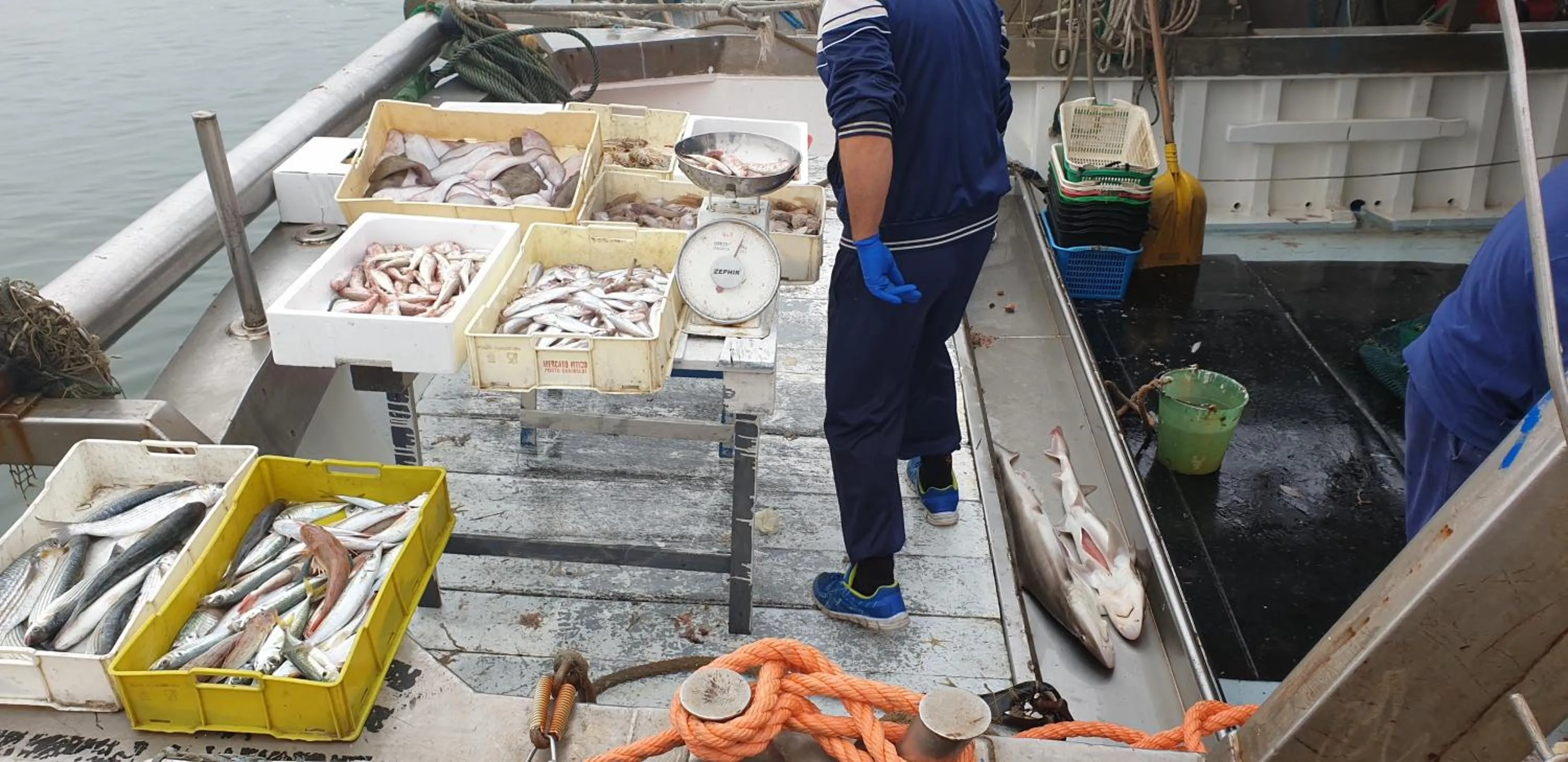 Restaurant/places to eat in B&B ENSILEVA BEACH