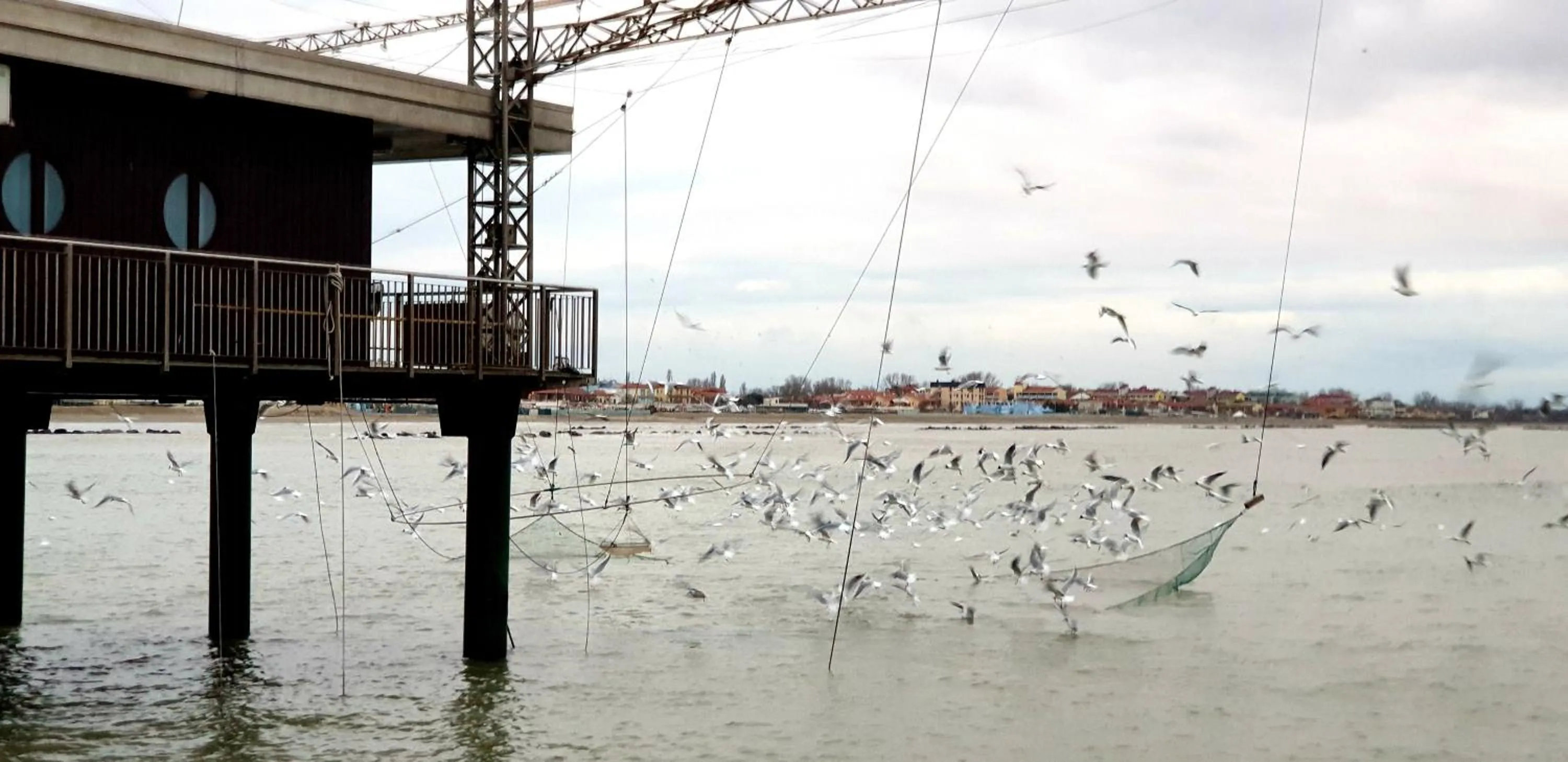 Activities in B&B ENSILEVA BEACH