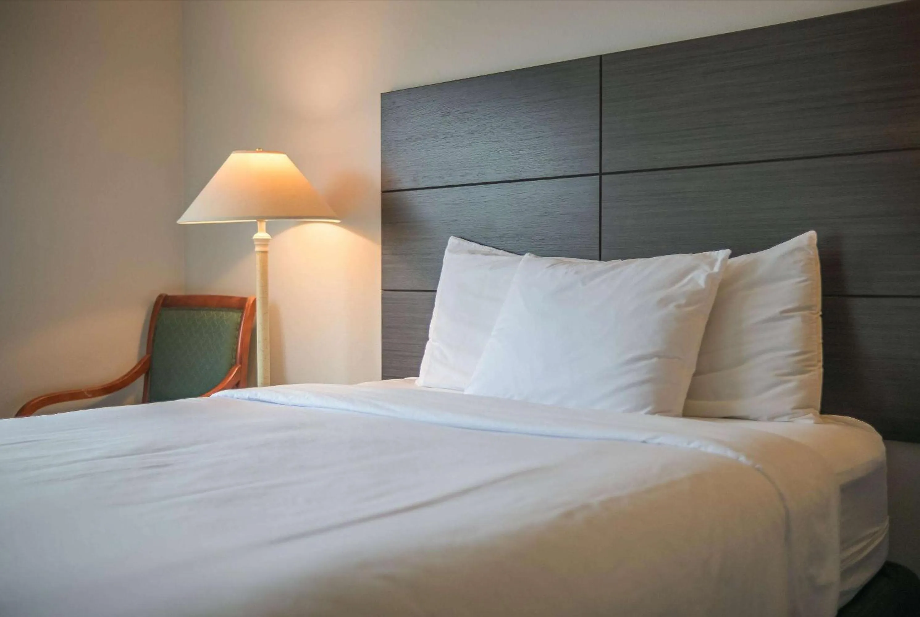 Photo of the whole room, Bed in Baymont INN & Suites by Wyndham