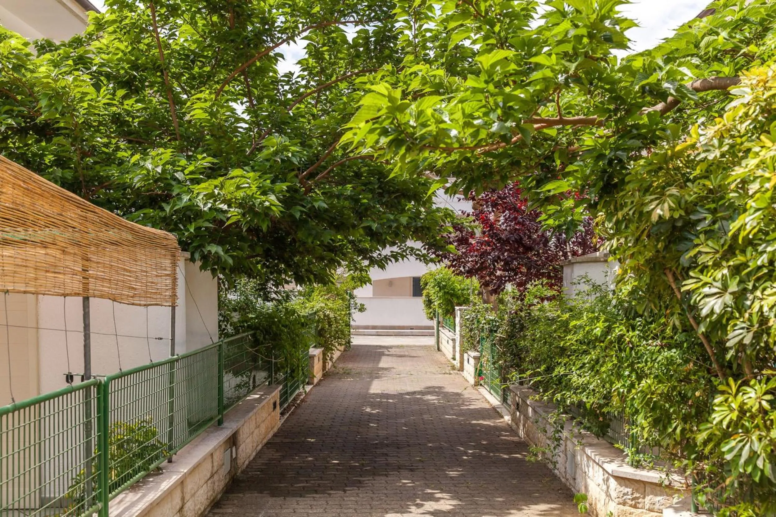 Garden in Villa Victory
