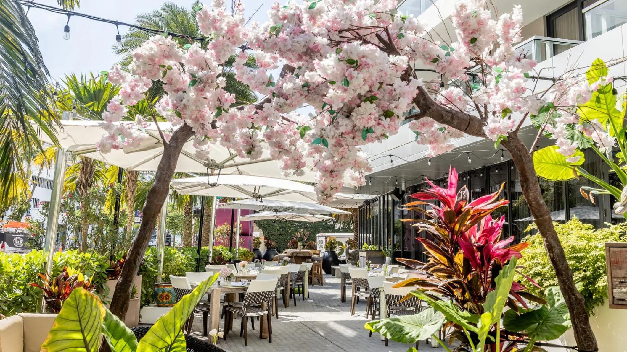 Restaurant/places to eat in Kimpton Angler’s Hotel South Beach by IHG