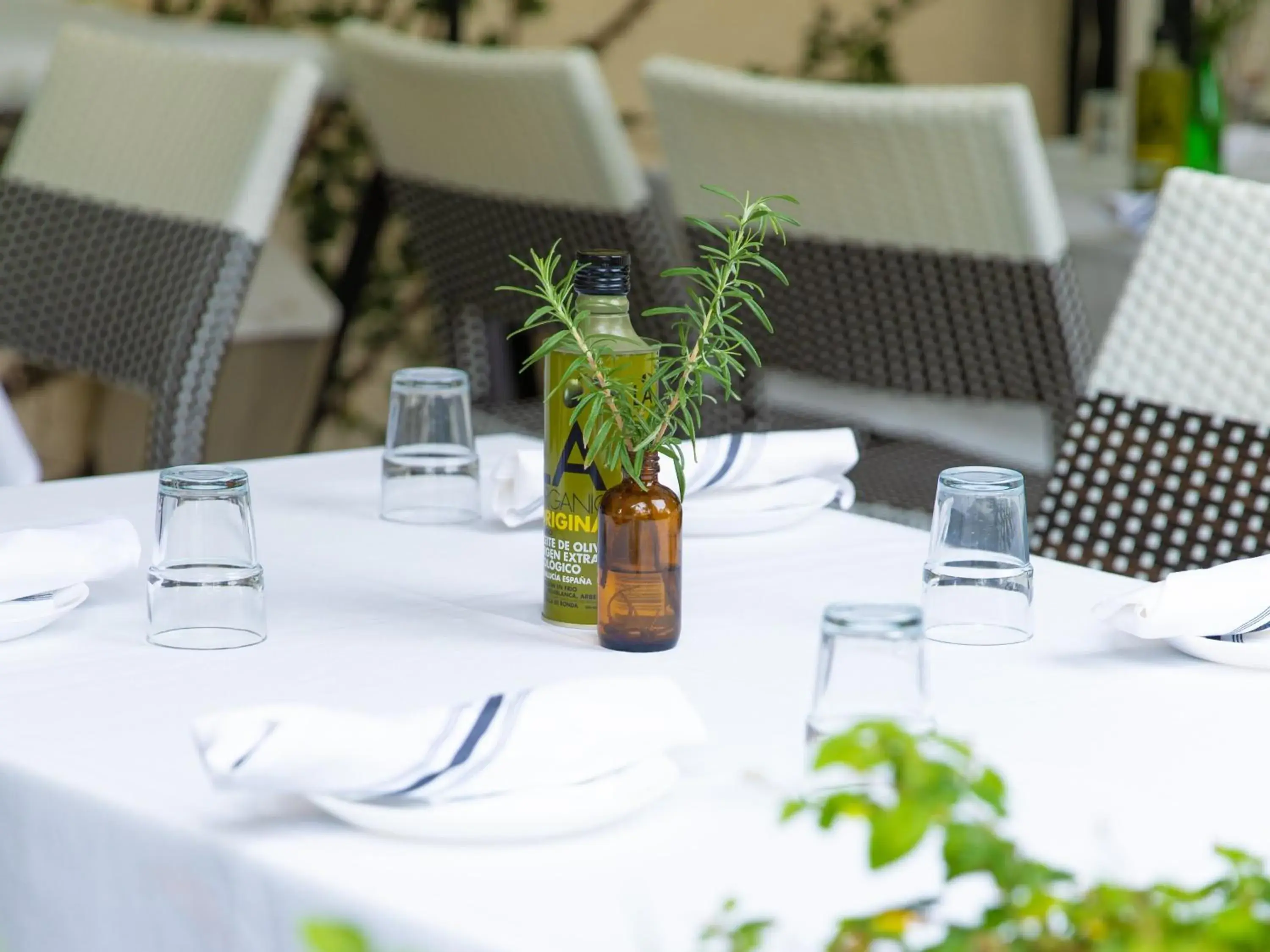 Restaurant/places to eat in Kimpton Angler’s Hotel South Beach by IHG Restaurant/places to eat in Kimpton Angler’s Hotel South Beach by IHG