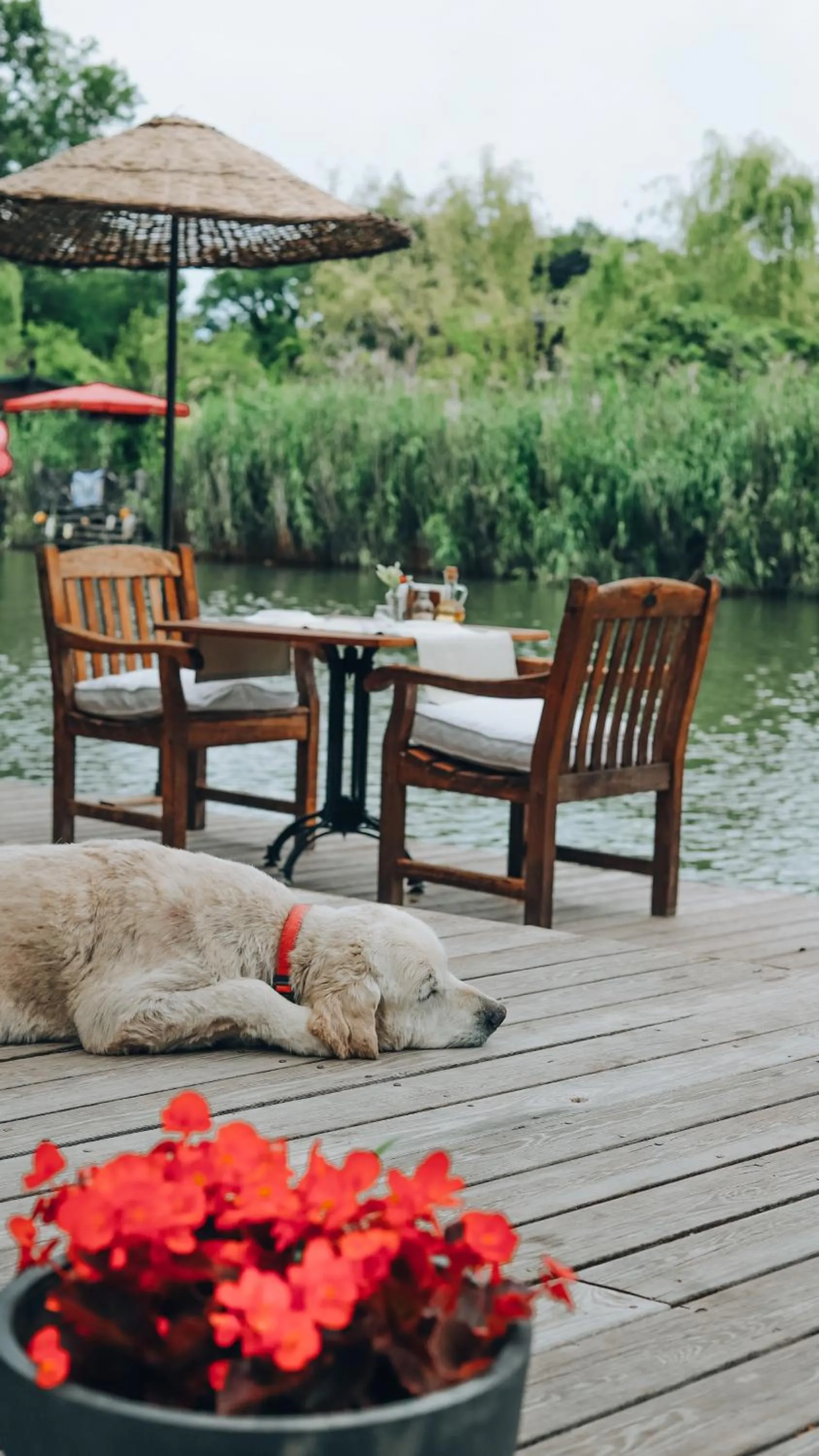 Patio in Tranquilla River Lodge
