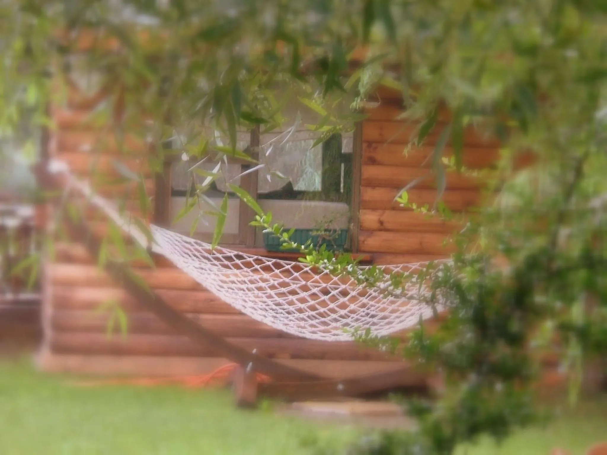 Garden in Tranquilla River Lodge