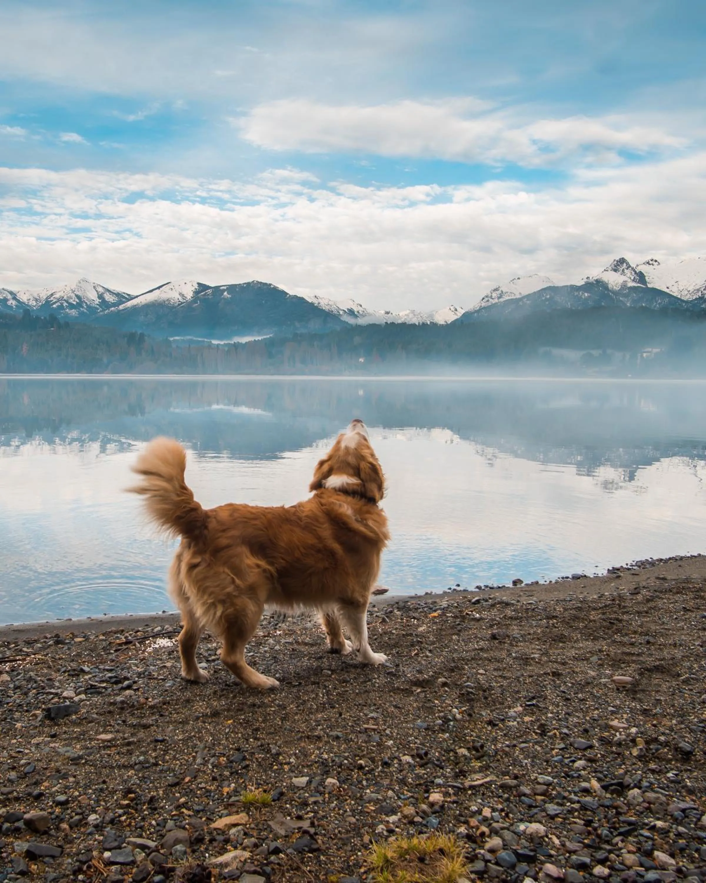 Off site in Peninsula Petit