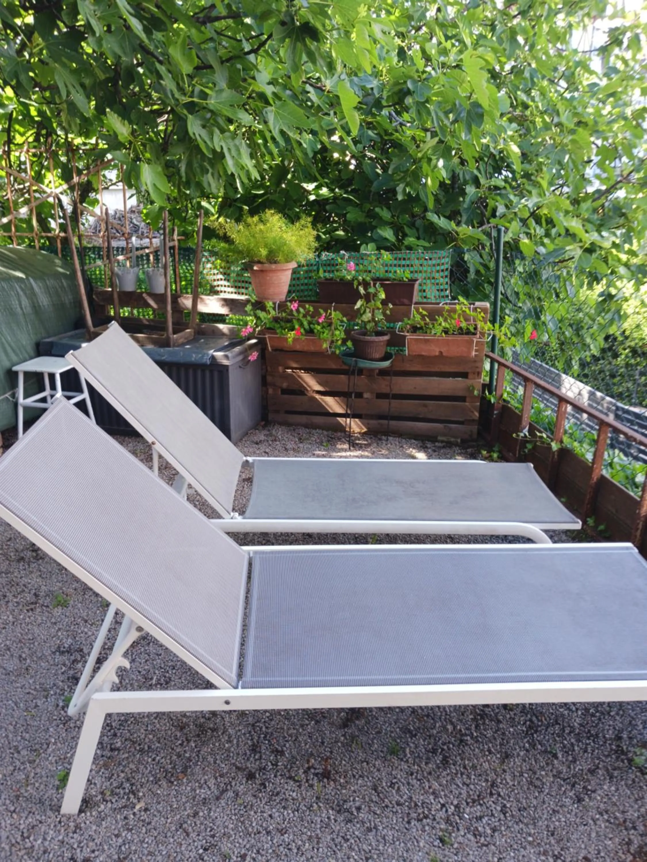 Garden in Studio Luna