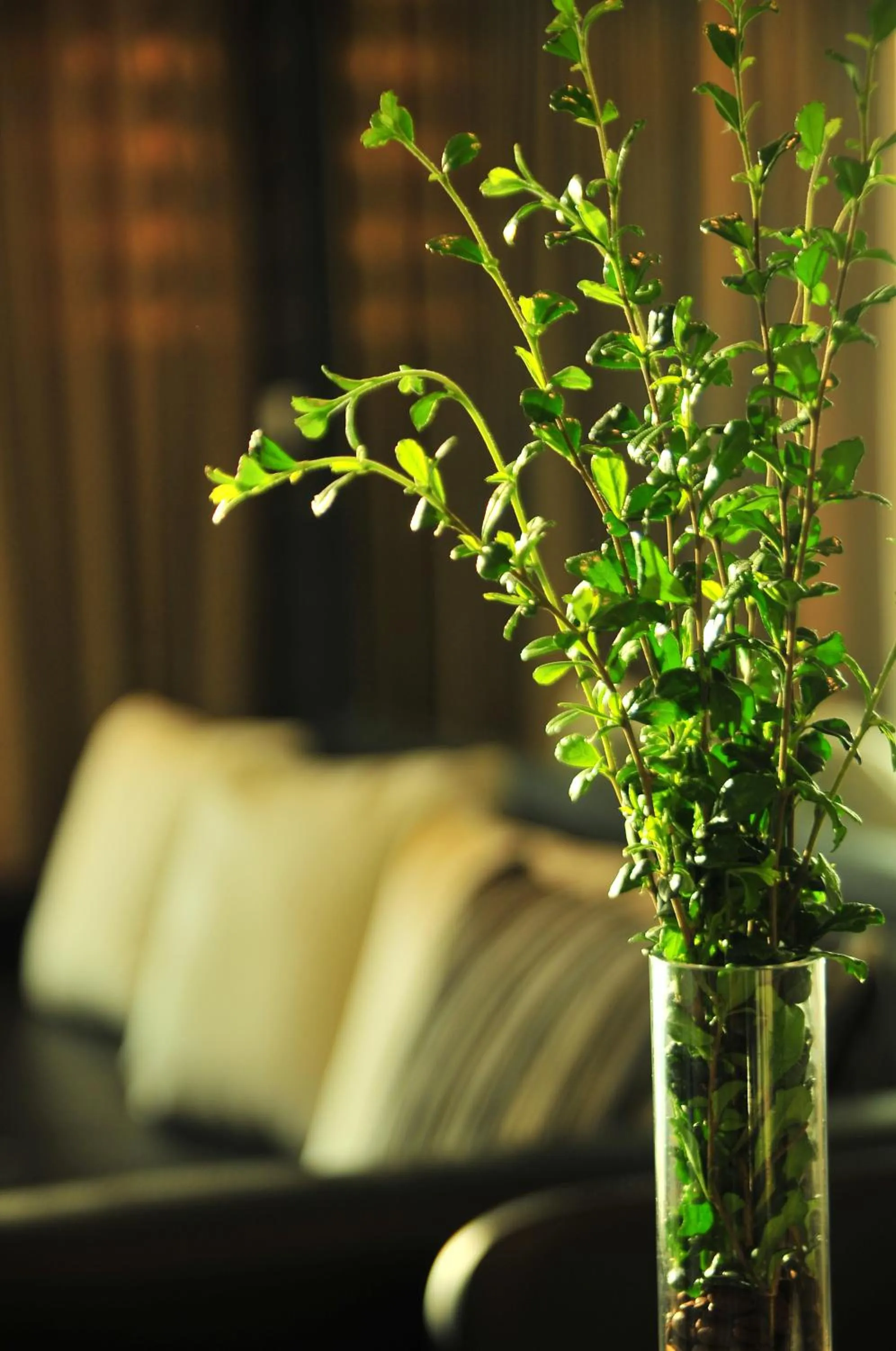 Decorative detail in The Baycliff Residences