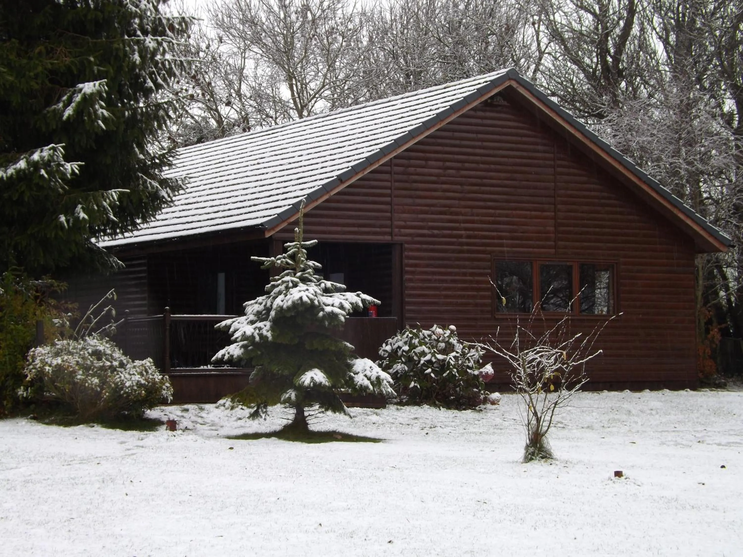 Fir Tree Lodge