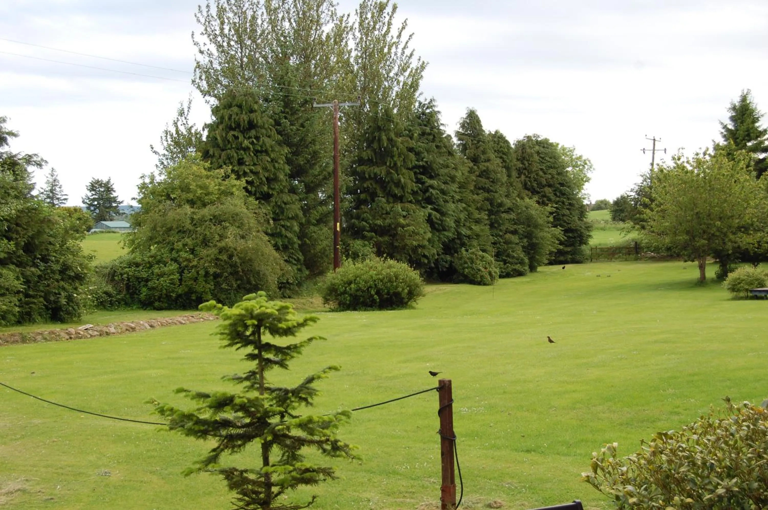 Fir Tree Lodge