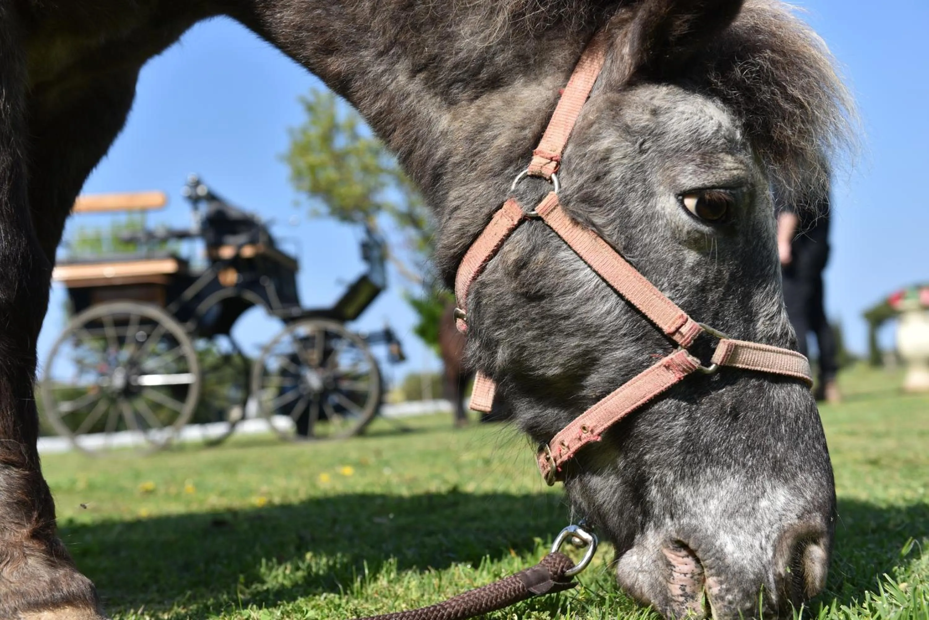 Day in Villa Isabella