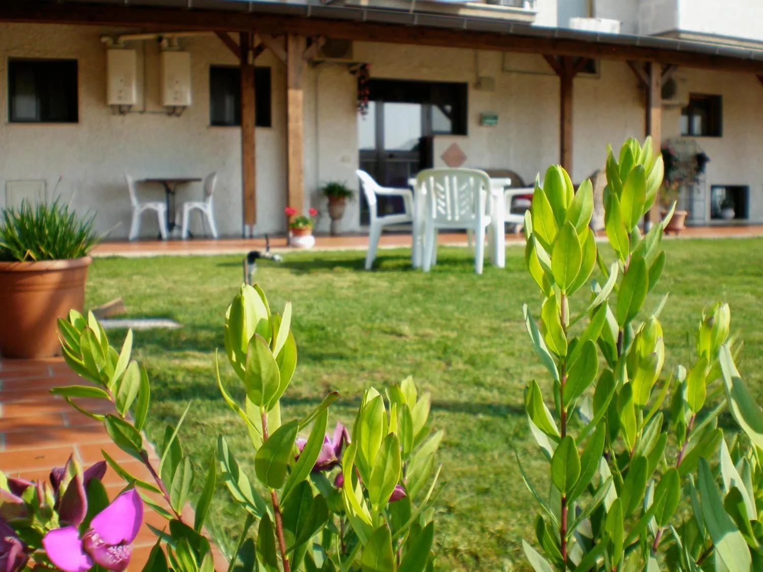 Day in Villa Isabella