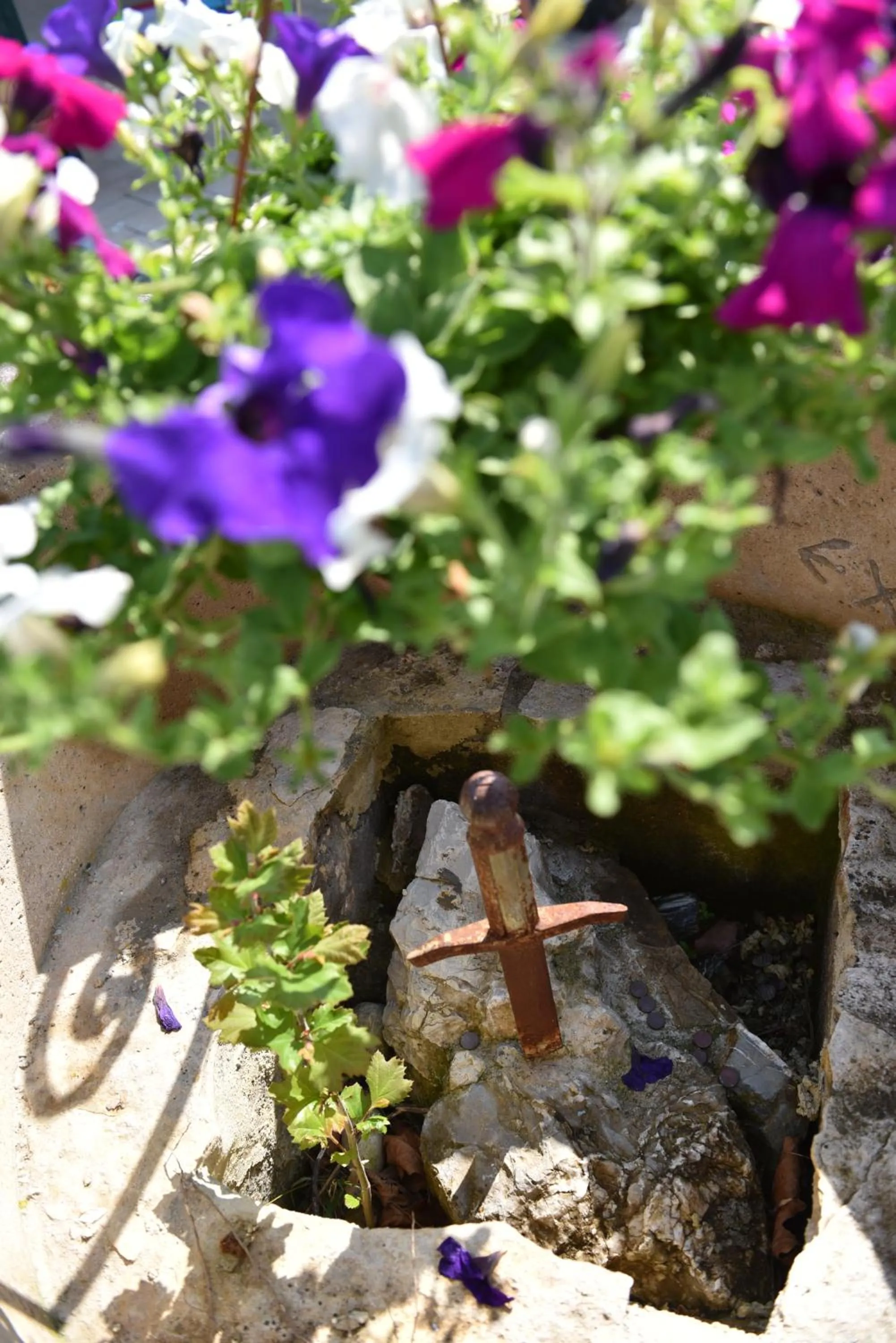 Spring in Villa Isabella