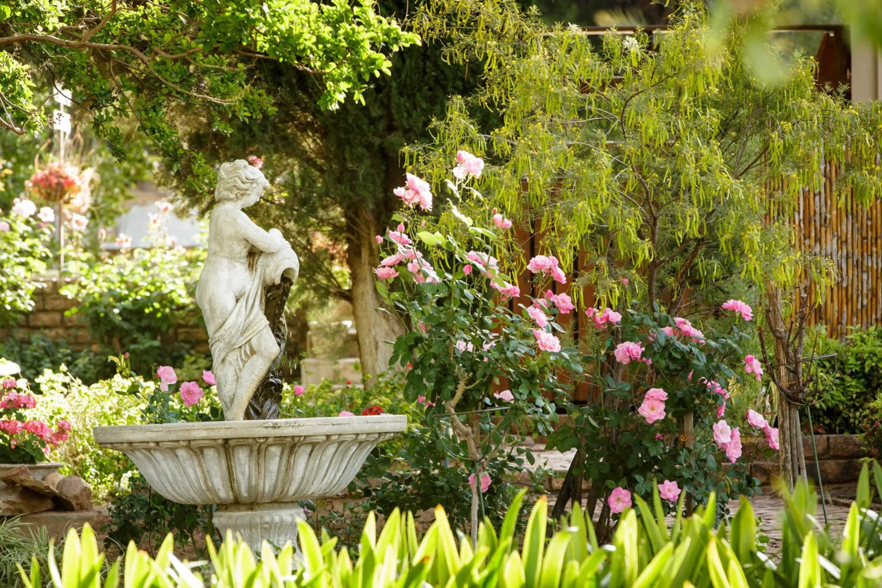 Garden view in Die Fonteine Country Guesthouse and Glamping