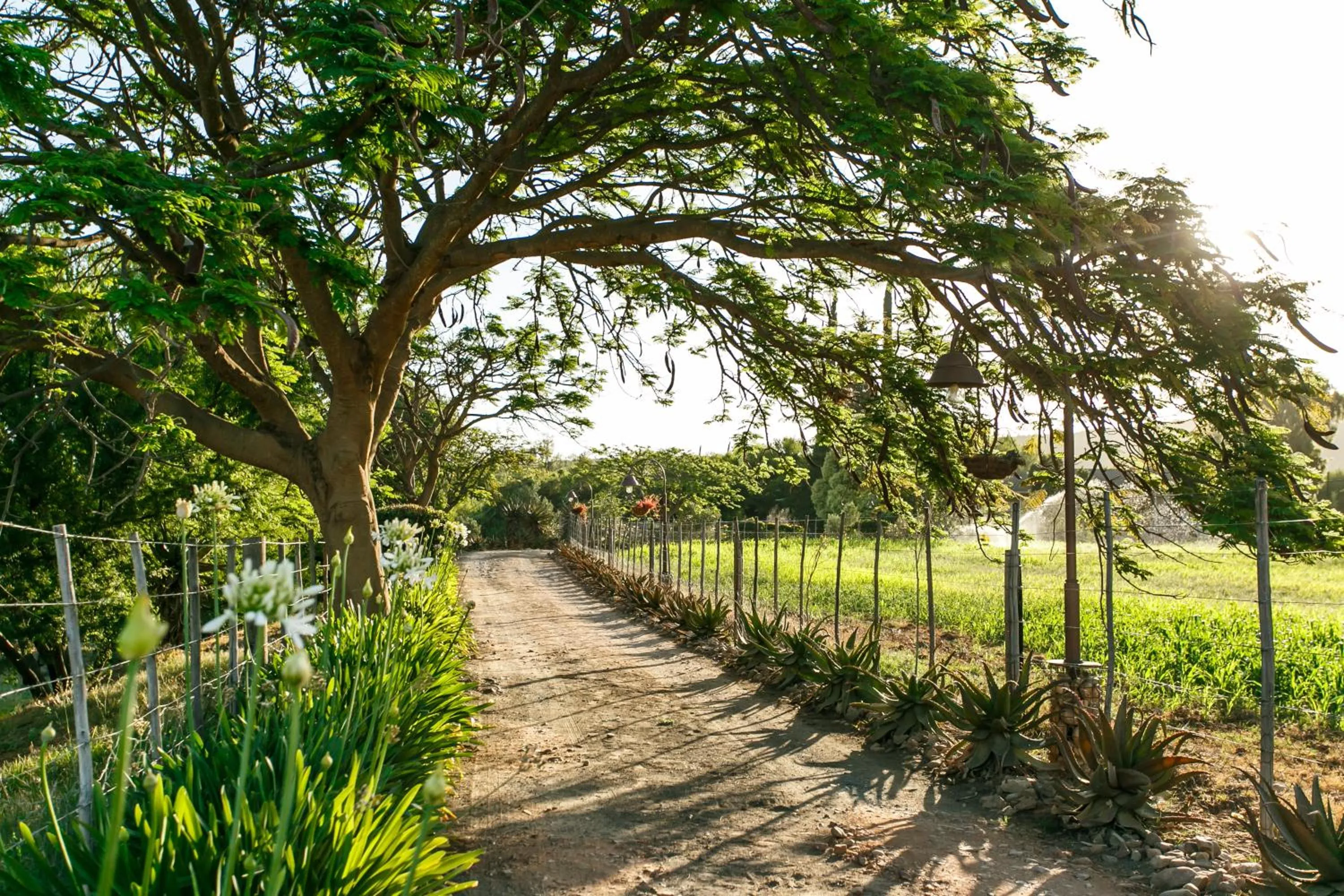 Garden in Die Fonteine Country Guesthouse and Glamping