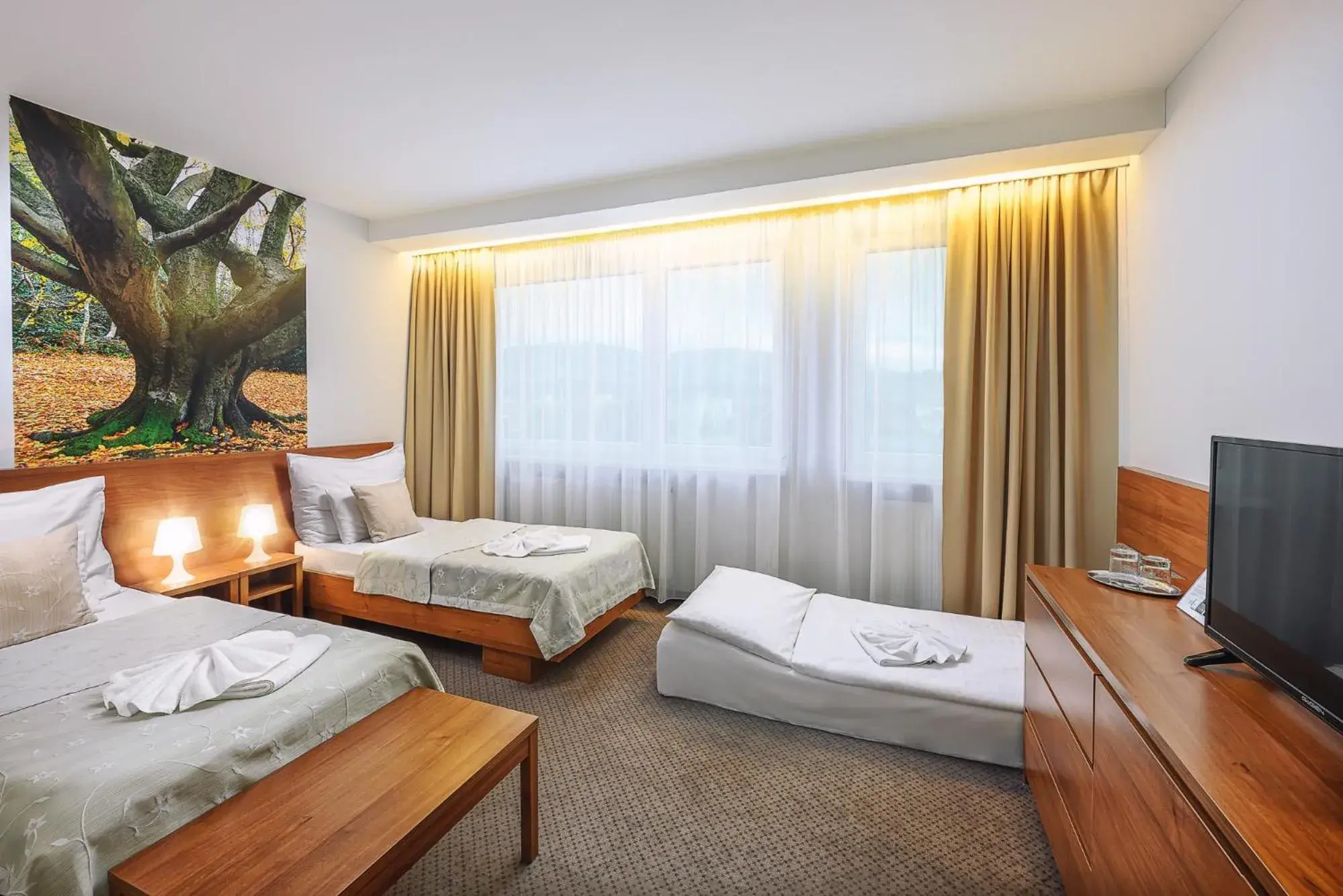 Twin Room with Extra Bed in Hotel Janosik Twin Room with Extra Bed in Hotel Janosik