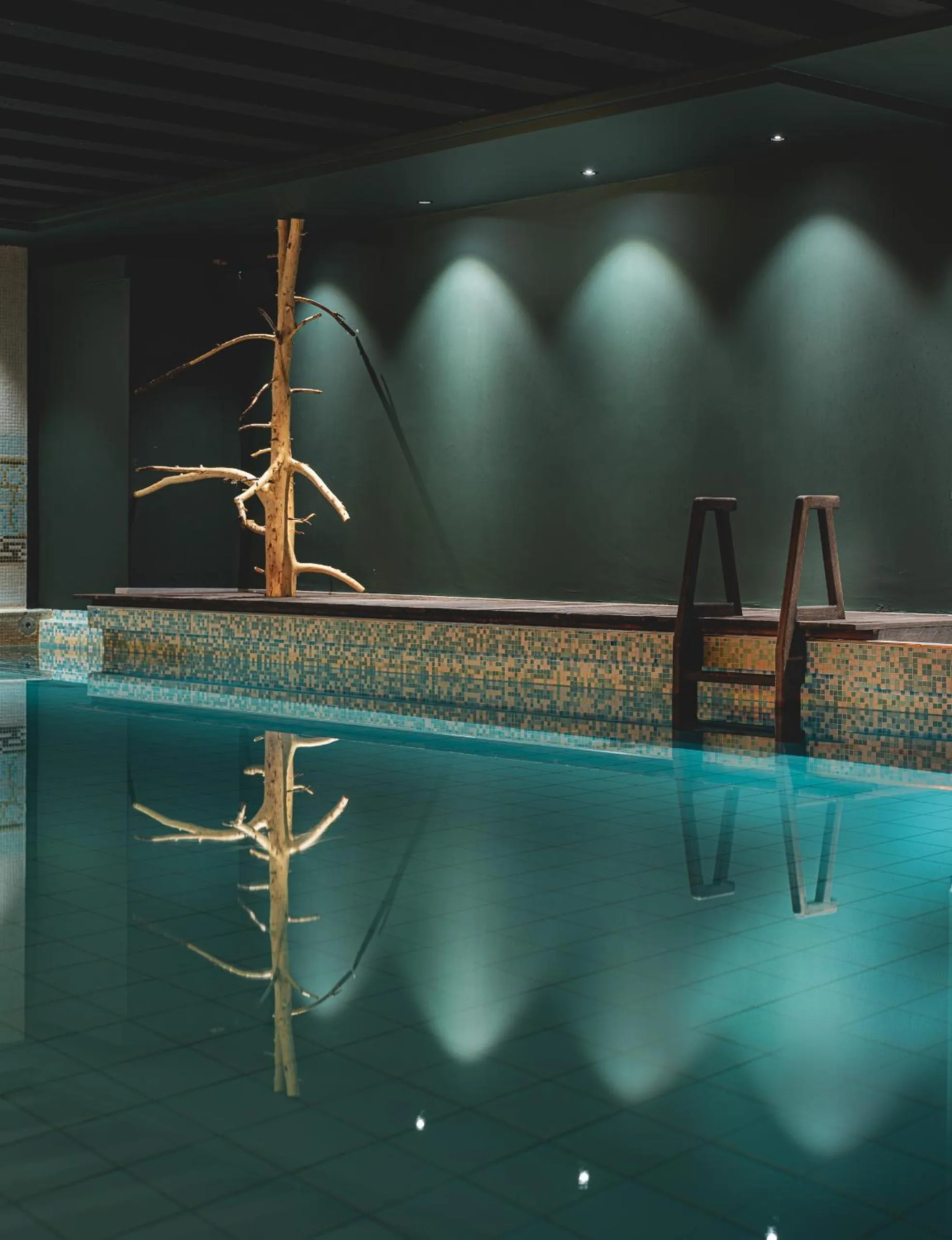 Spa and wellness centre/facilities in the rex