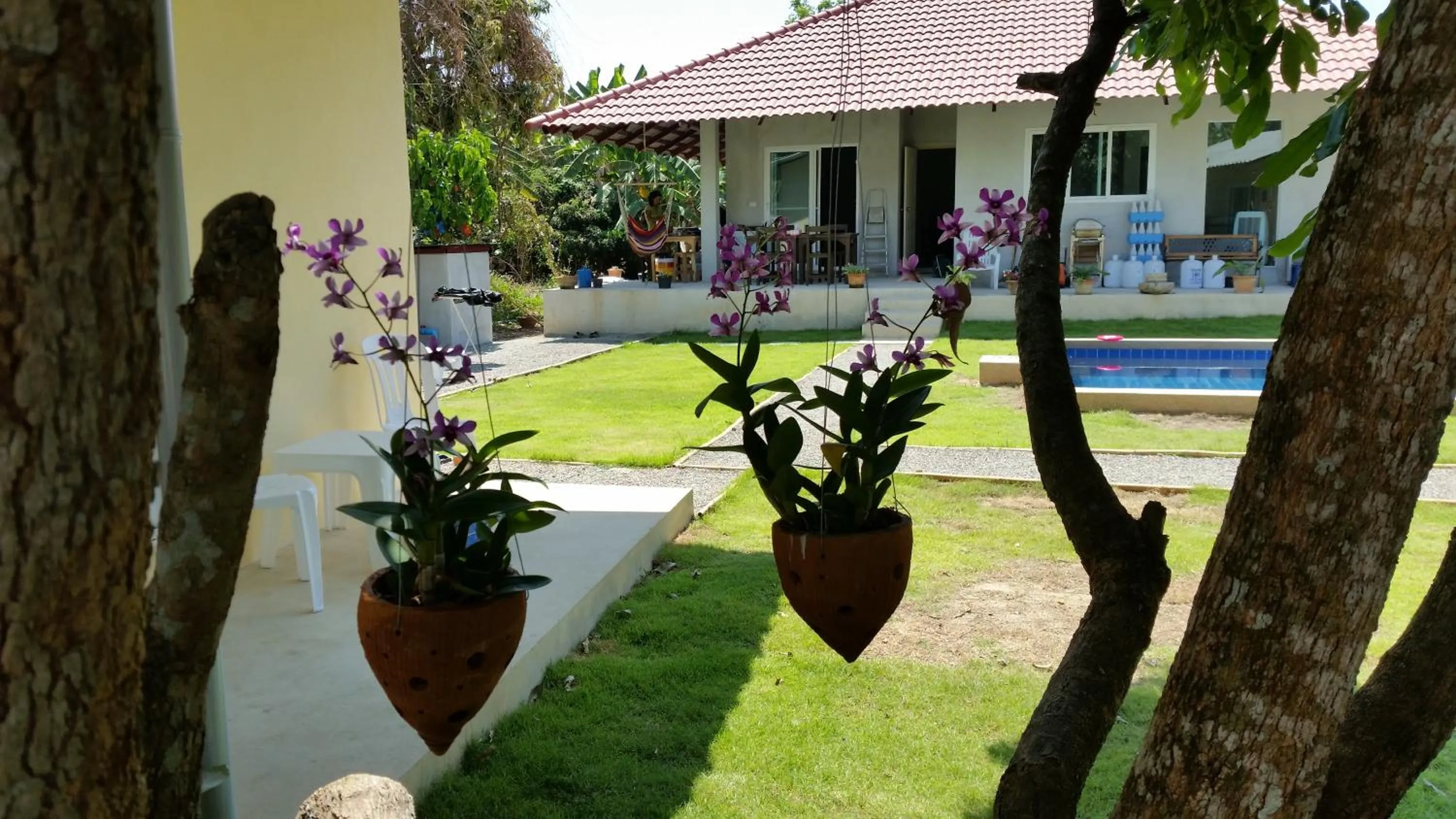 Garden in Longan Tree