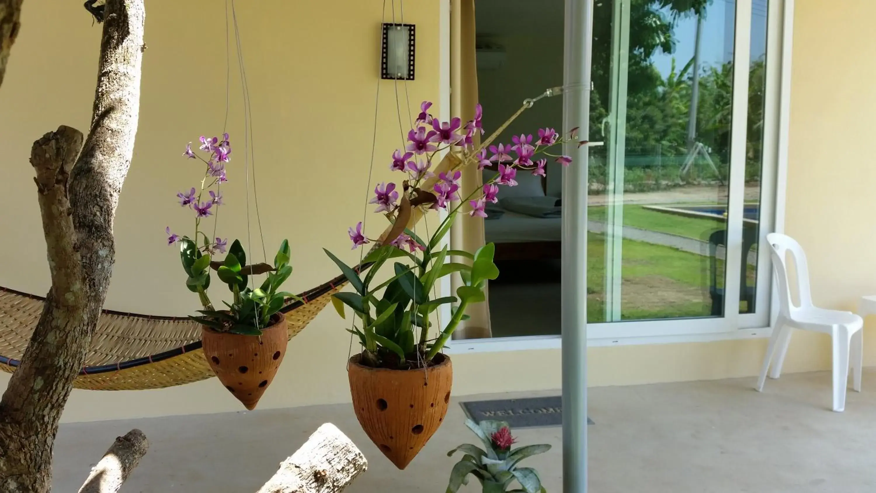 Double Room with Terrace - single occupancy in Longan Tree Double Room with Terrace - single occupancy in Longan Tree