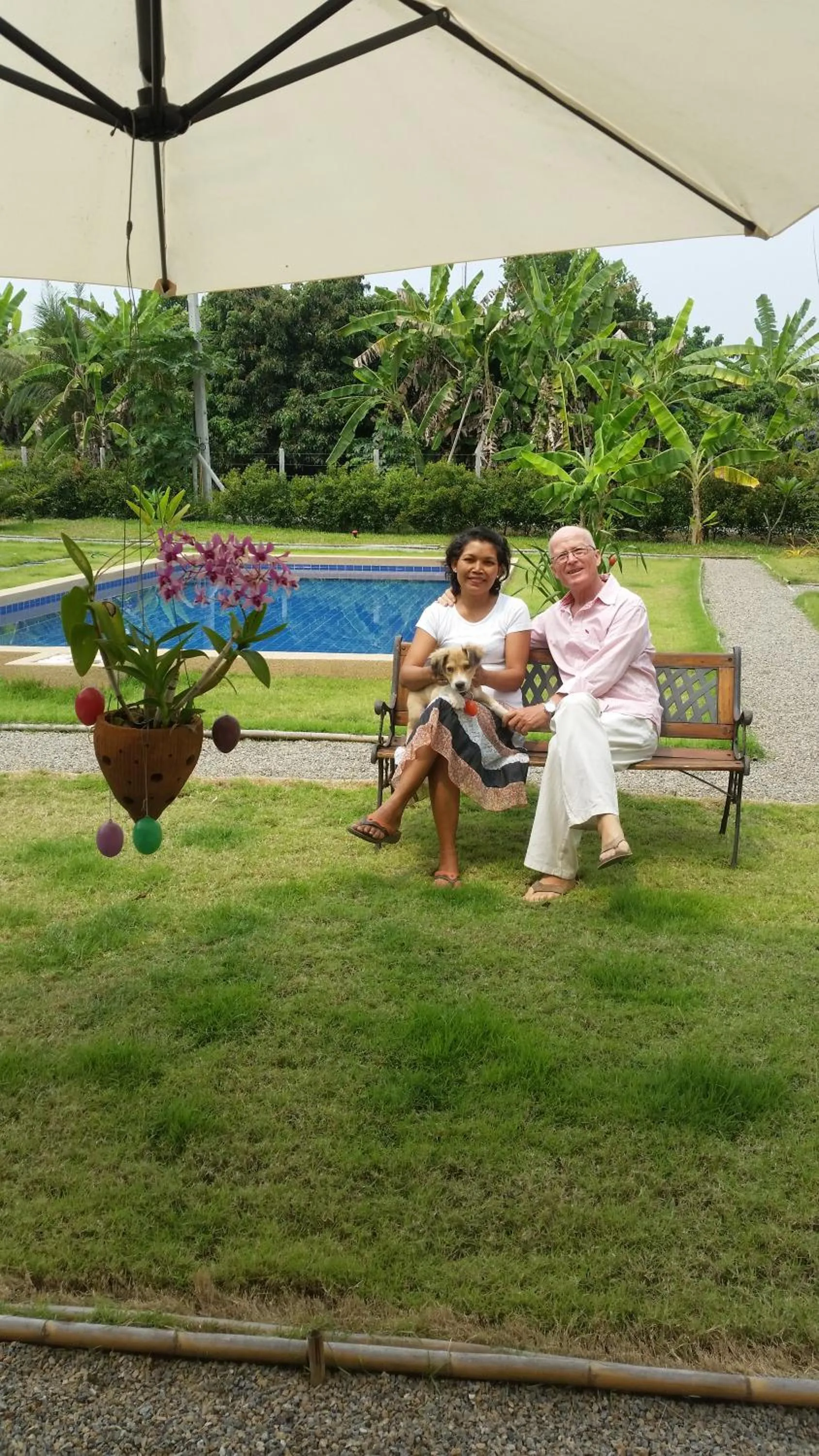 Swimming pool in Longan Tree