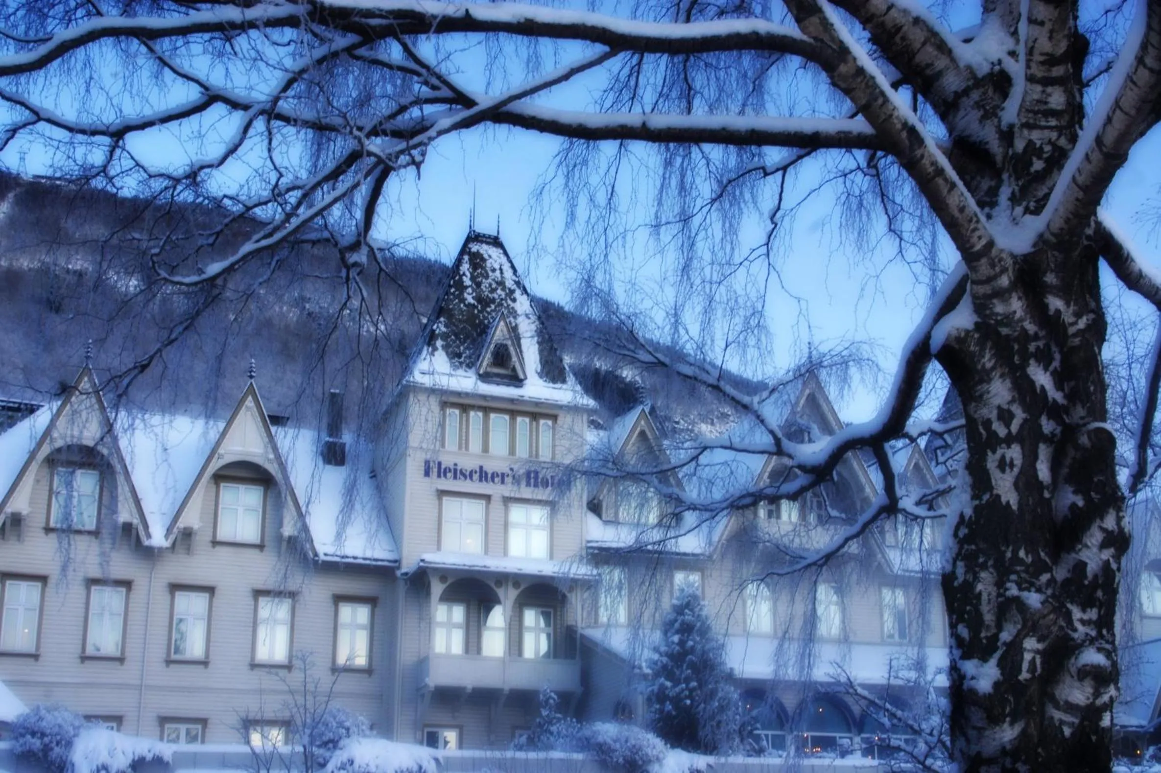 Facade/entrance in Fleischer's Hotel