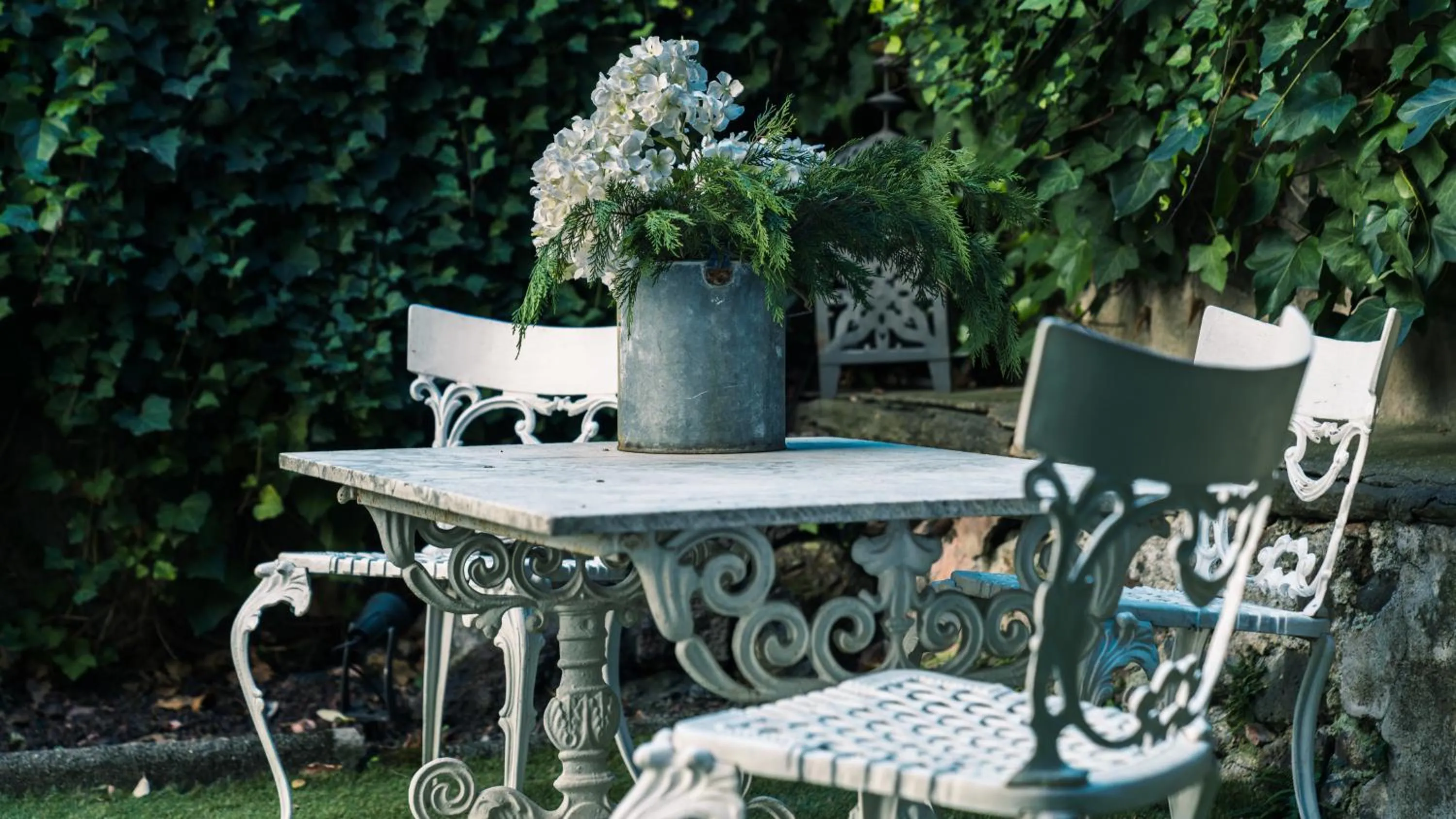 Garden in El Jardinet de Sant Esteve