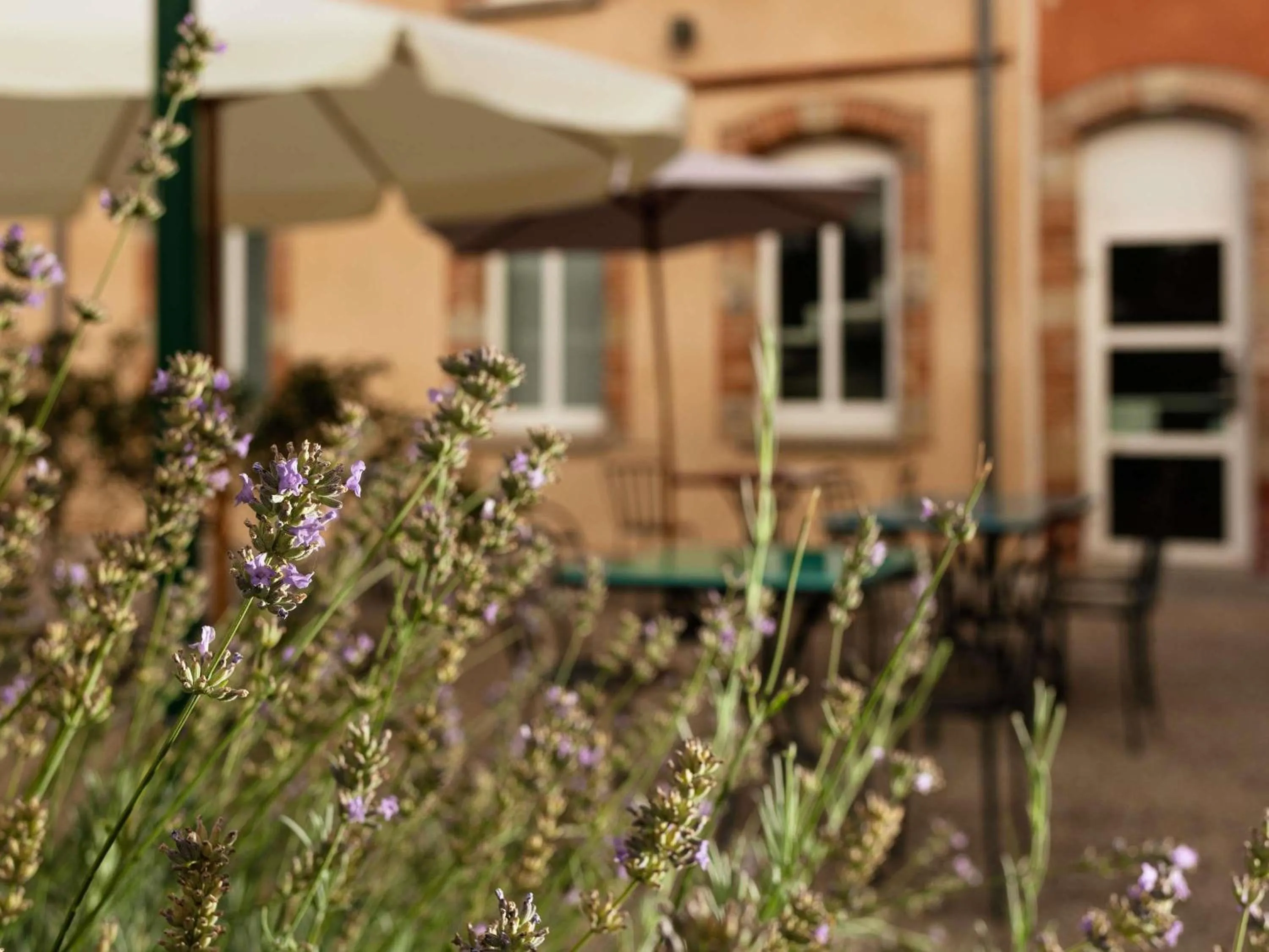 Property building in ibis Styles Toulouse Lavaur