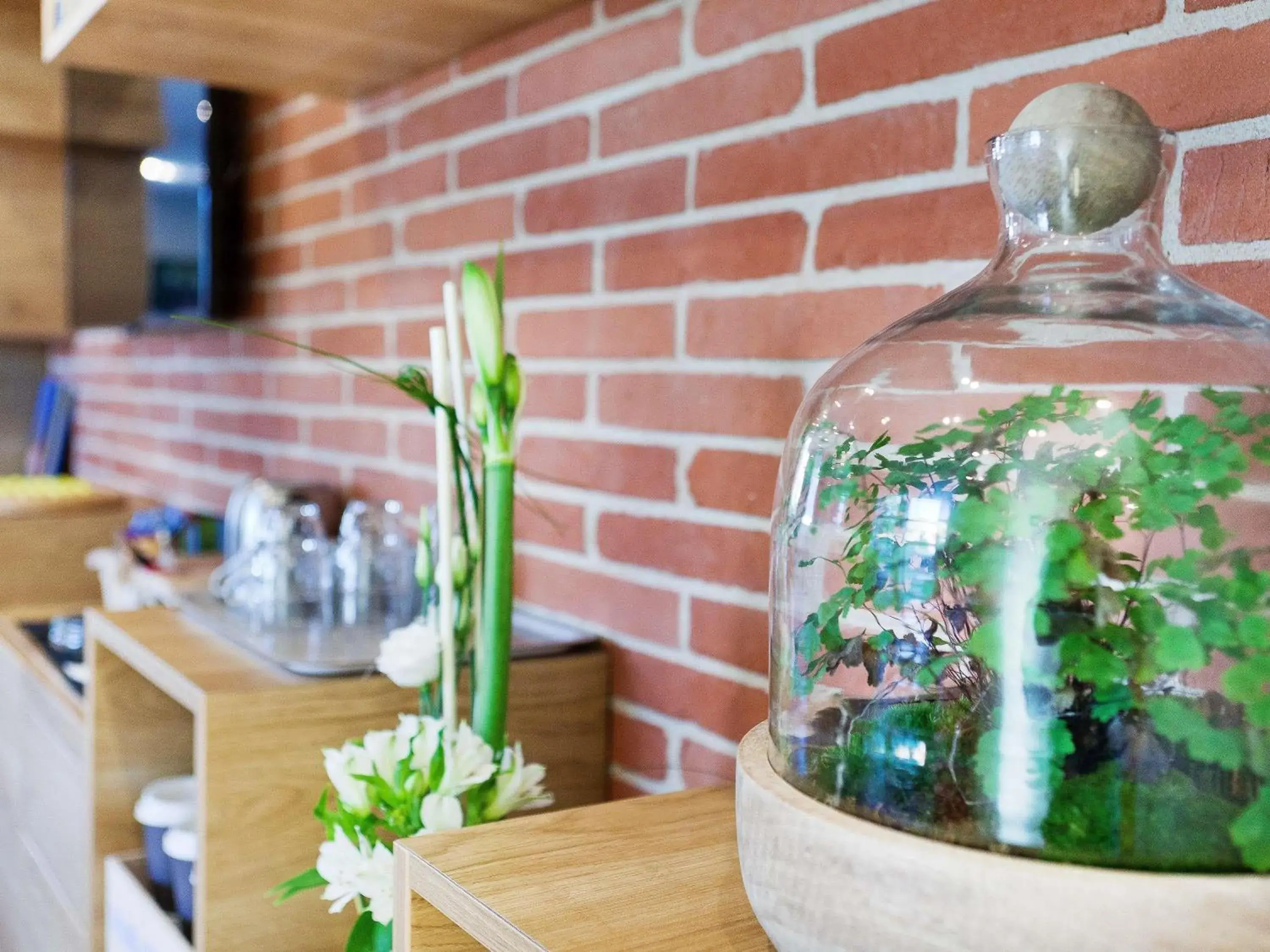 Lounge or bar in ibis Styles Toulouse Lavaur Lounge or bar in ibis Styles Toulouse Lavaur