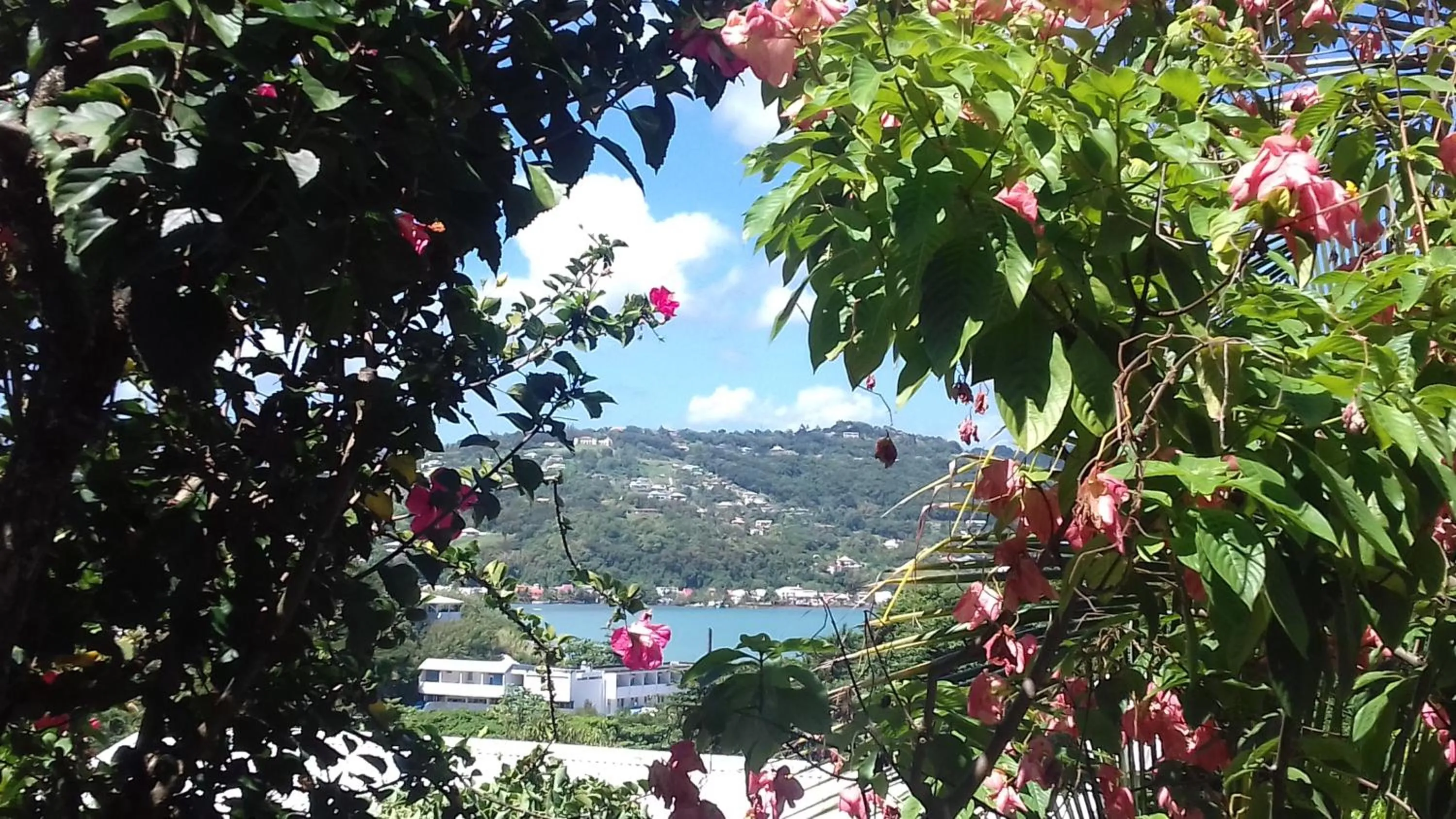 Garden view in Kay Zanndoli