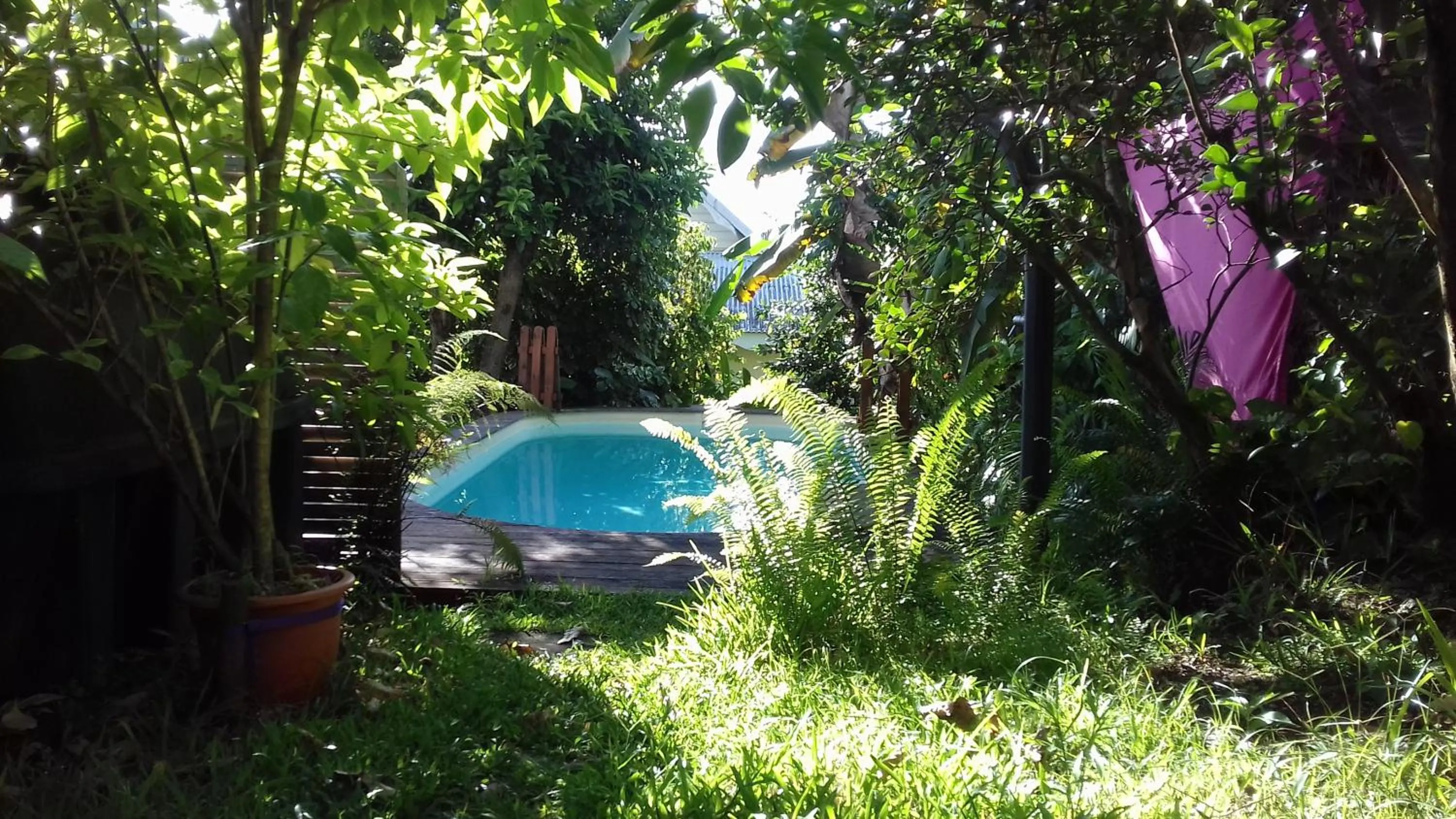 Garden in Kay Zanndoli