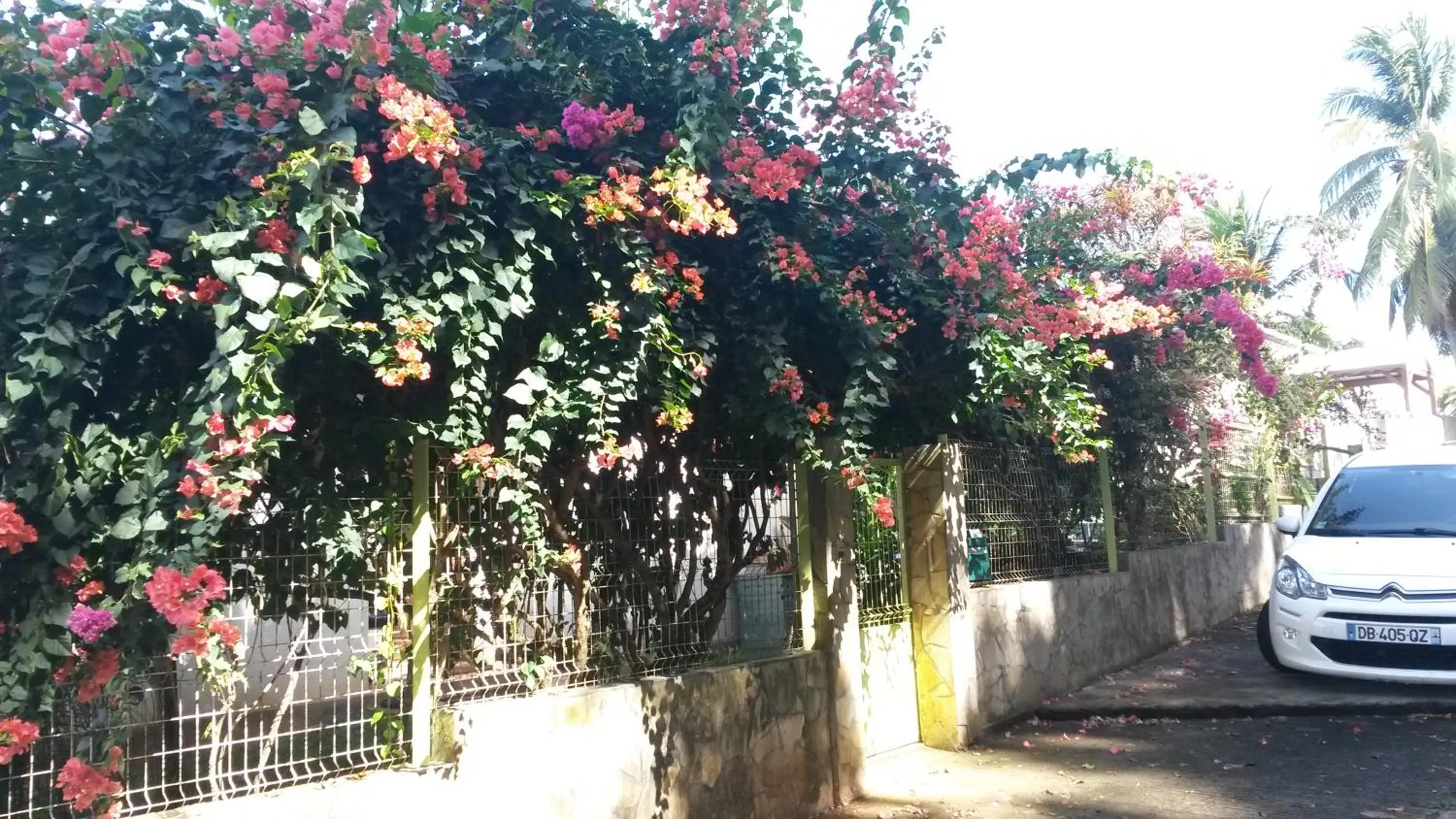 Property building in Kay Zanndoli