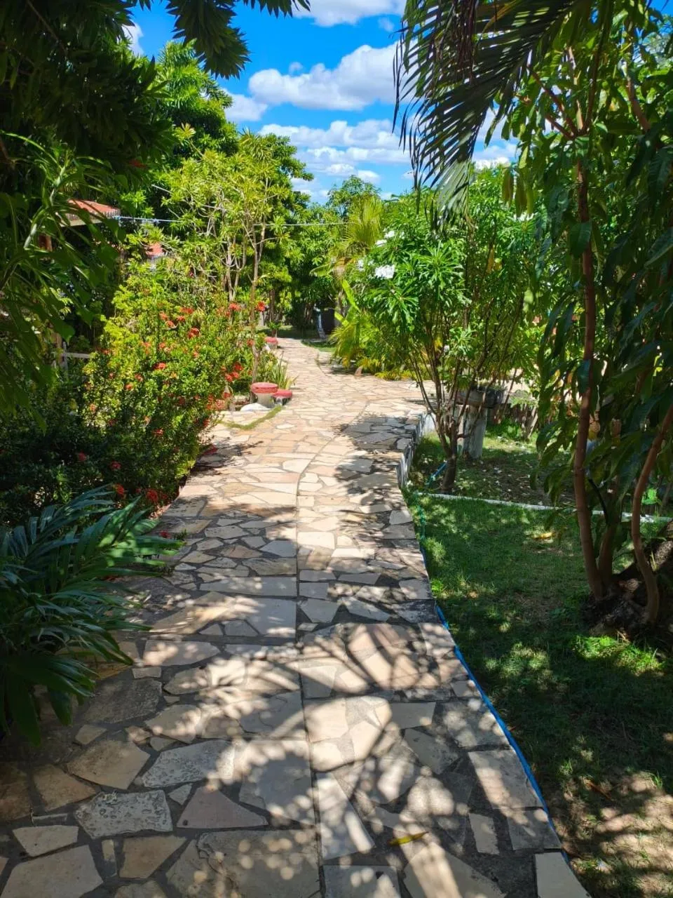 Casa no Residencia Familia