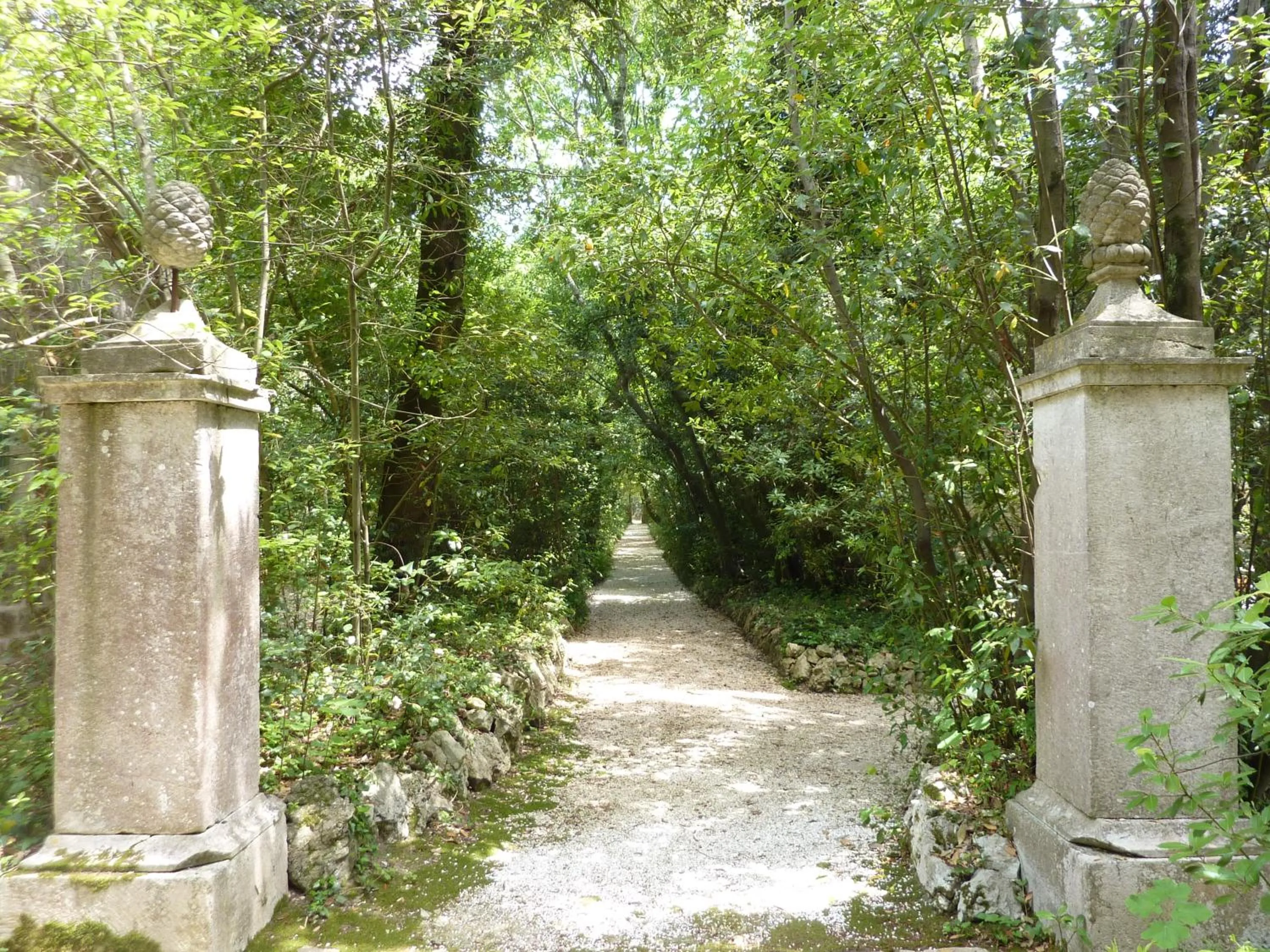 Garden in Hotel Monteconero