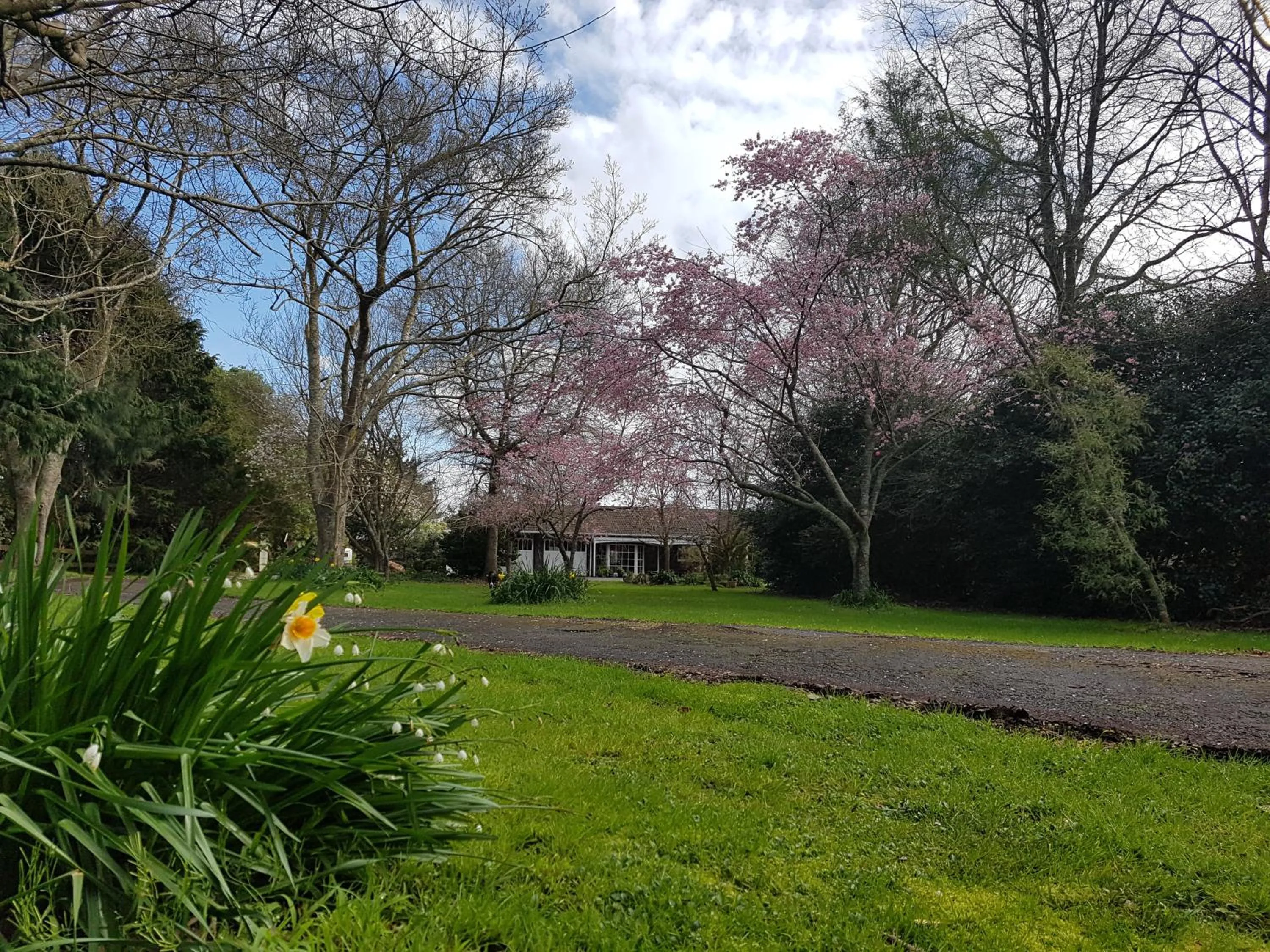 Spring in Woodbury Farm