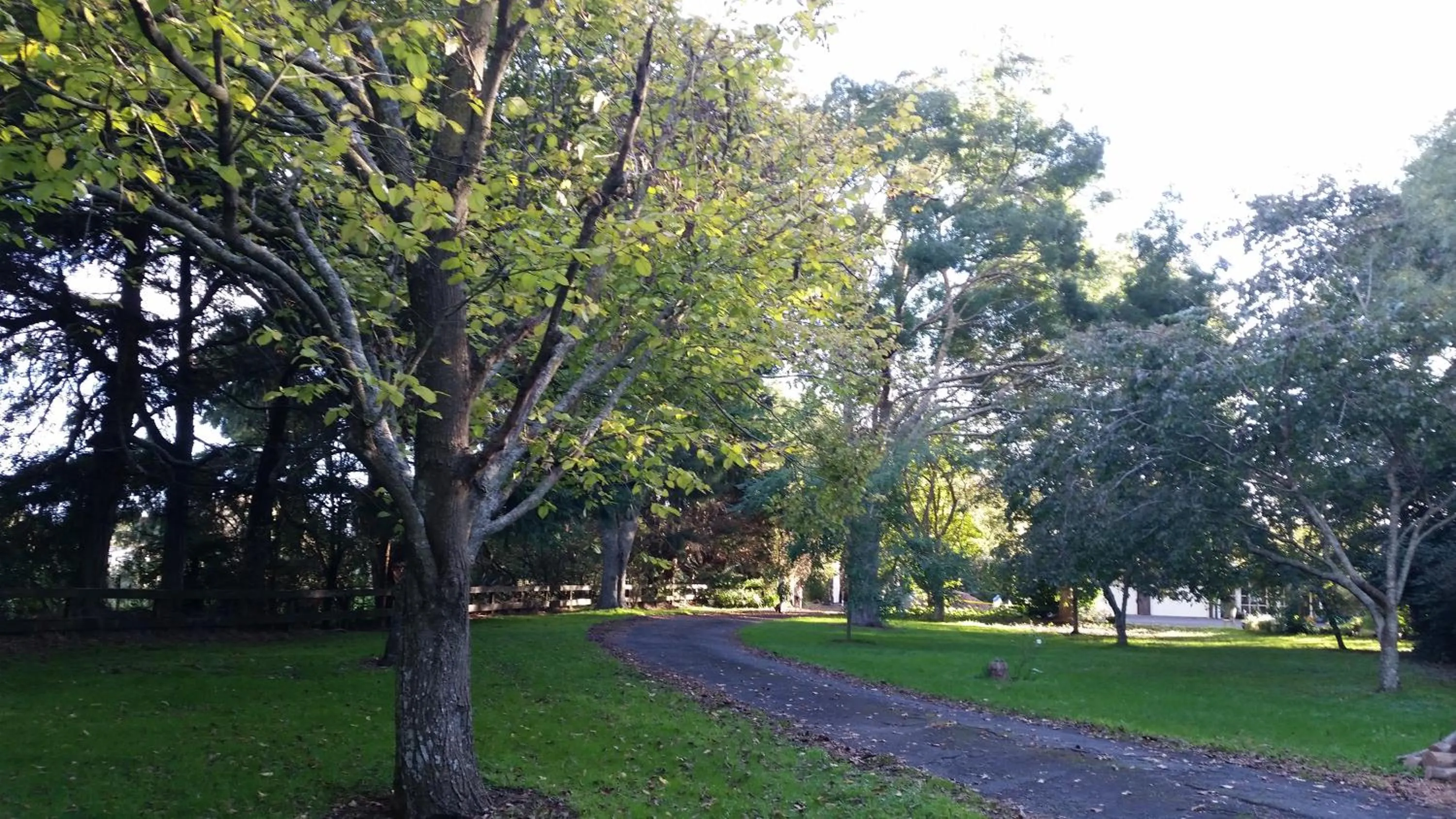 Garden in Woodbury Farm