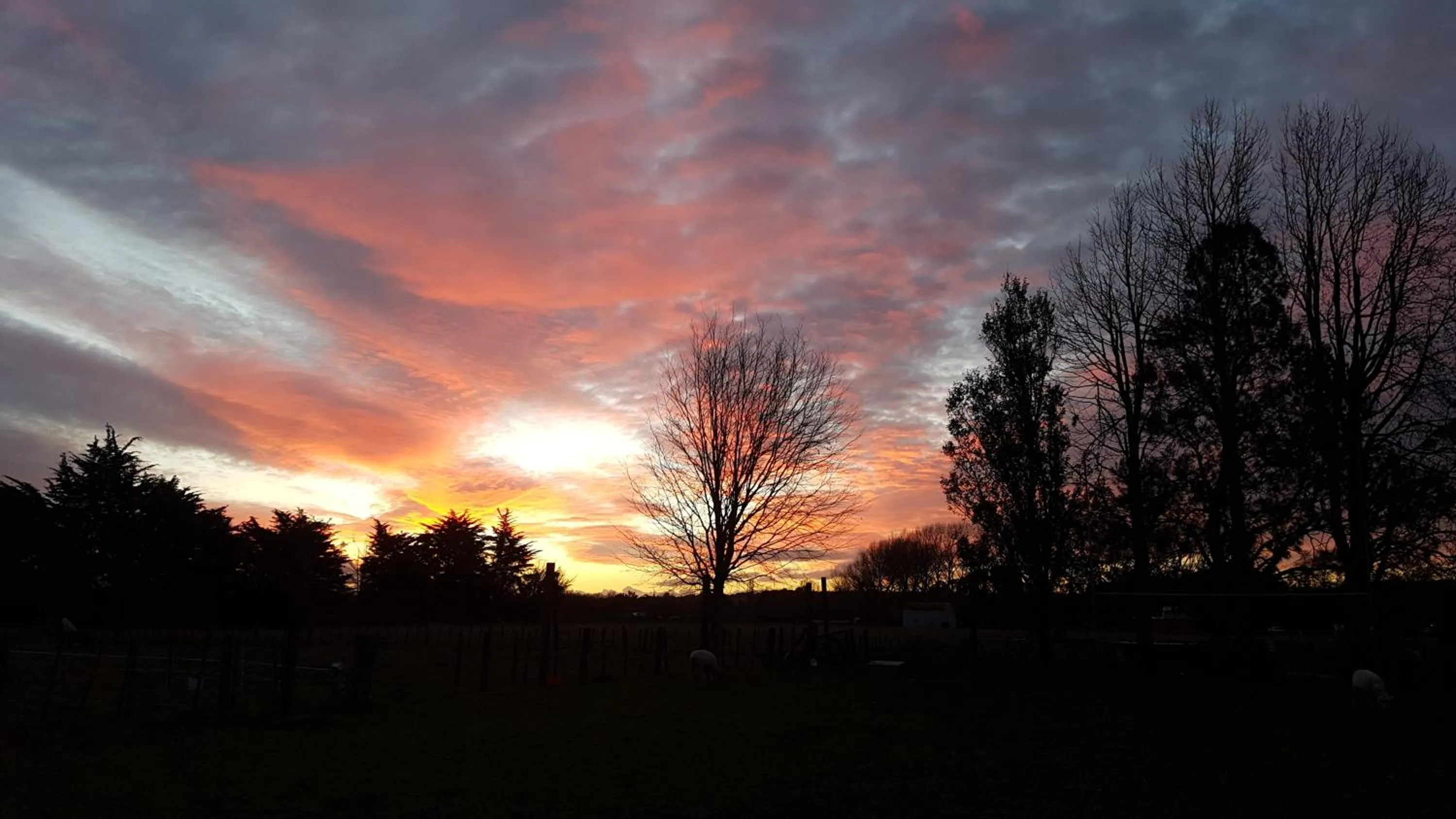 Sunset in Woodbury Farm
