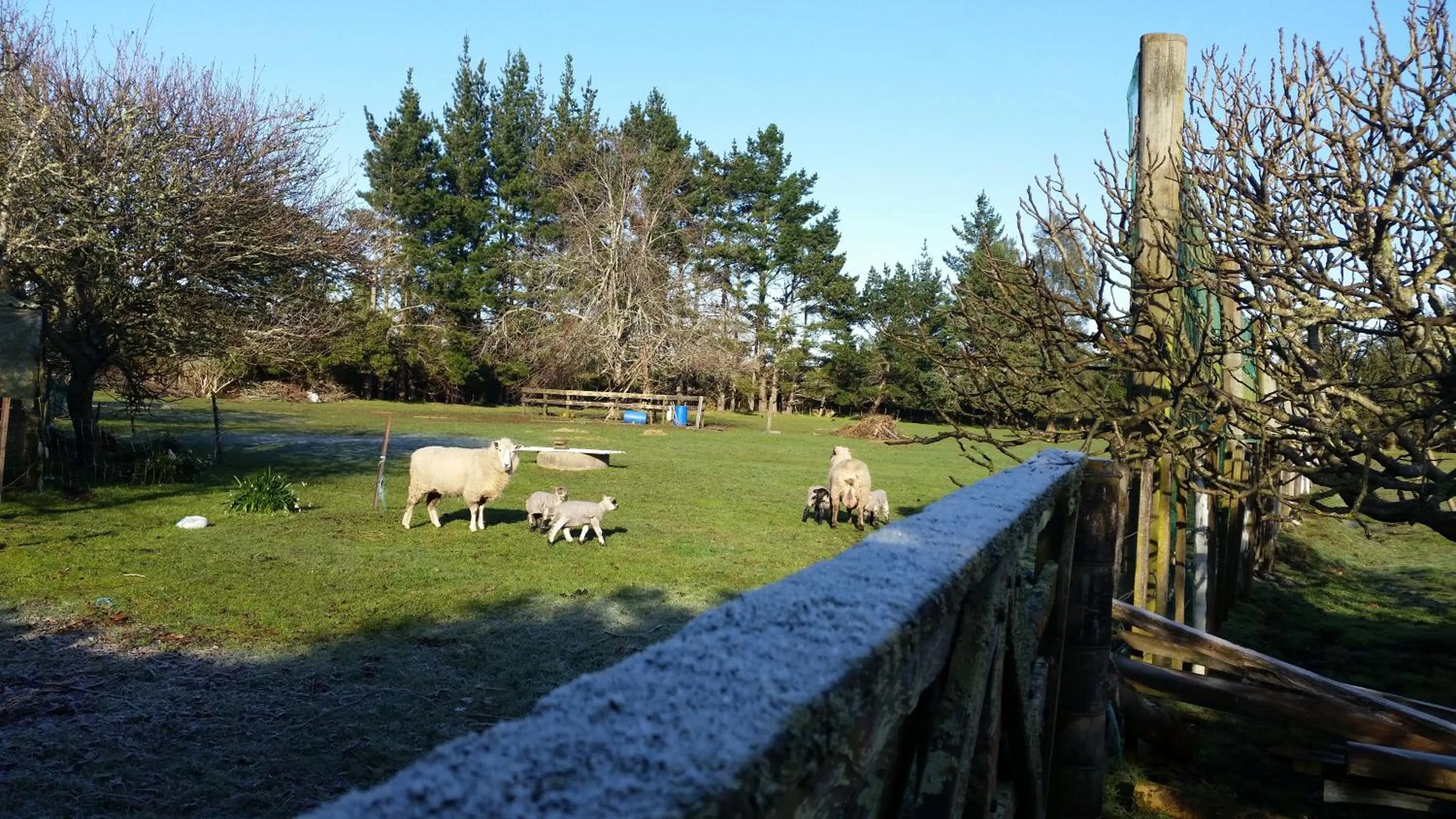 Winter in Woodbury Farm